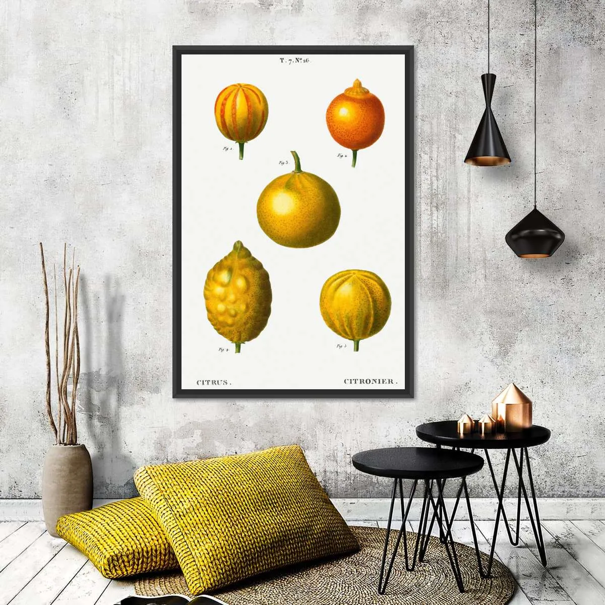 5 Types Of Bitter Orange Wall Art