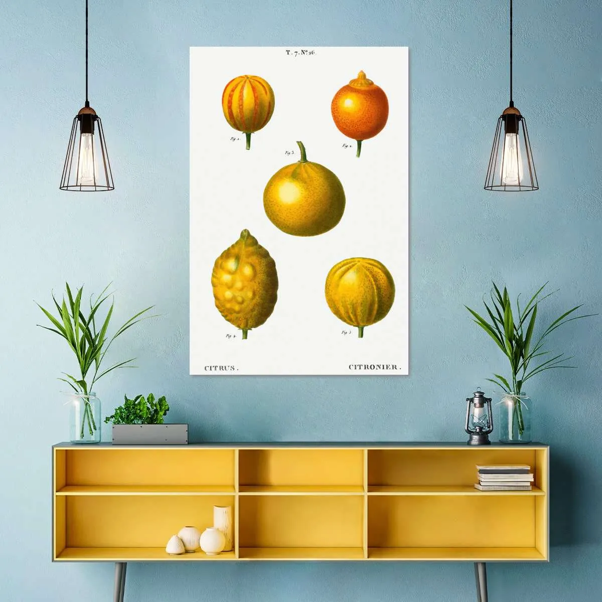 5 Types Of Bitter Orange Wall Art