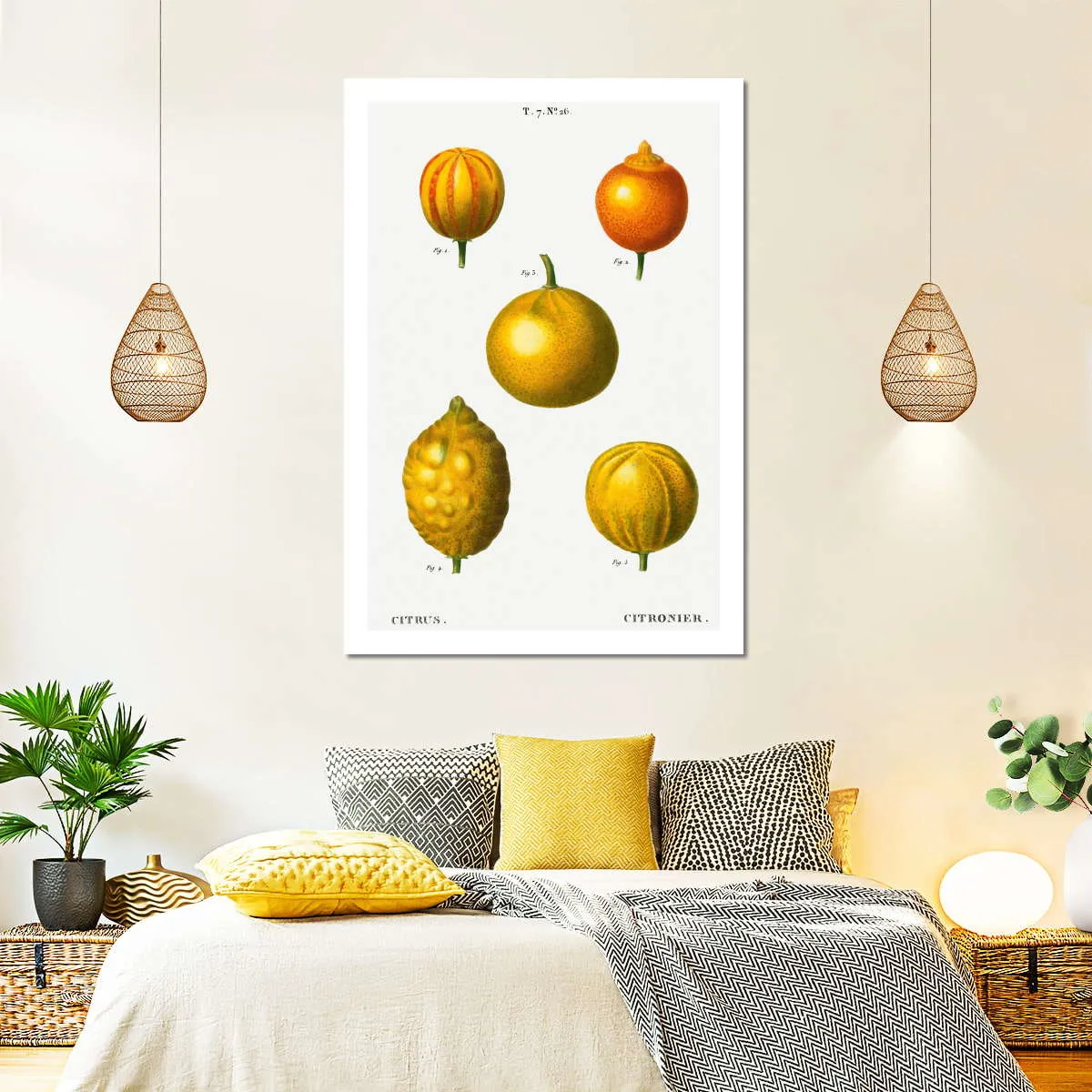 5 Types Of Bitter Orange Wall Art