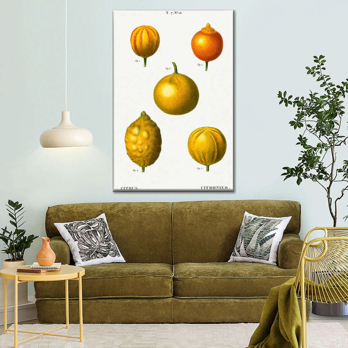 5 Types Of Bitter Orange Wall Art