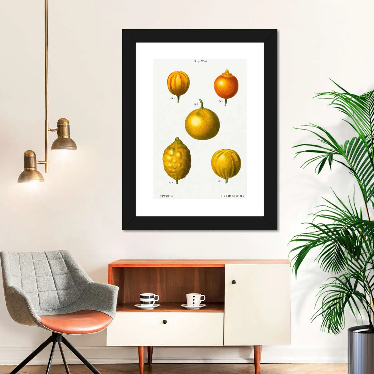 5 Types Of Bitter Orange Wall Art