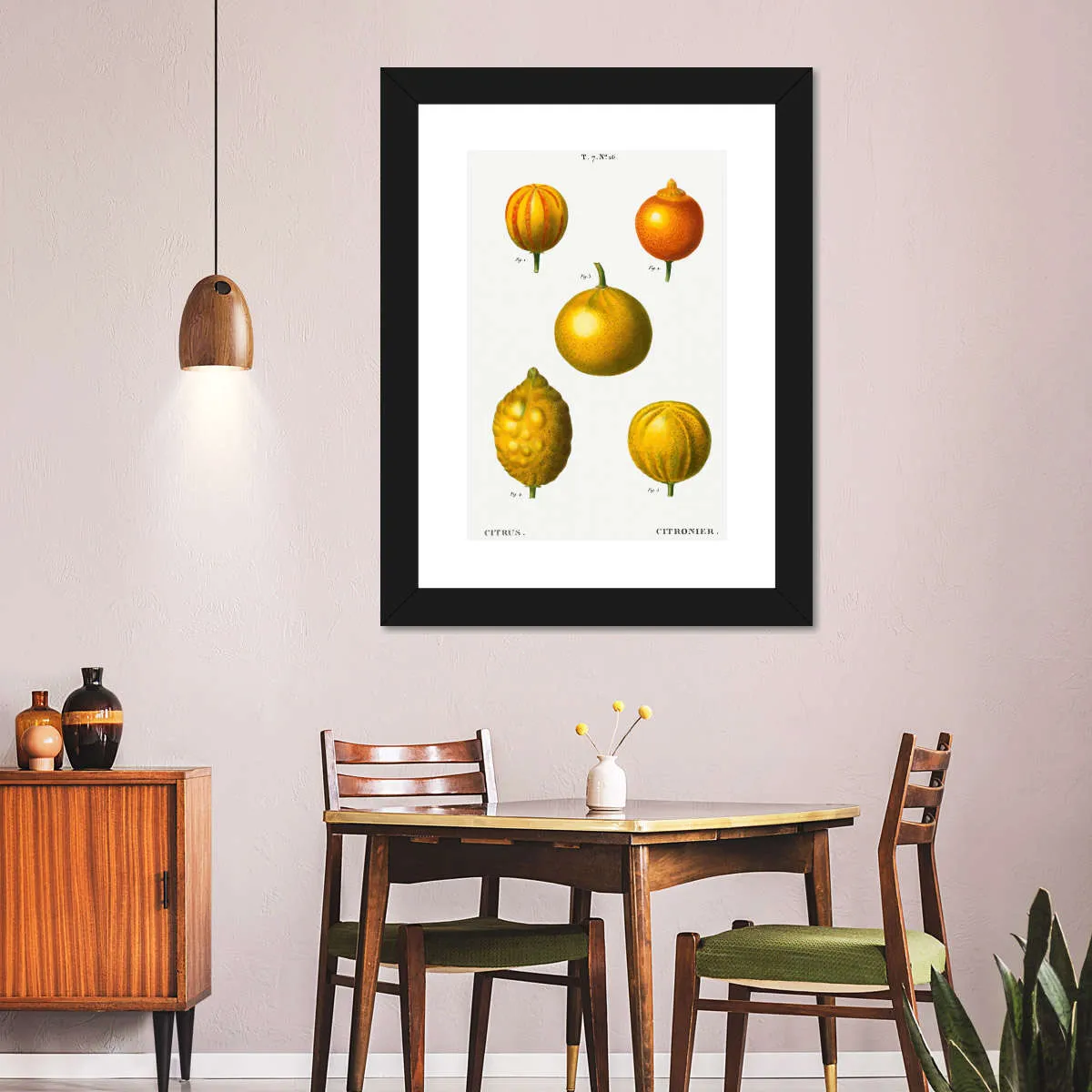 5 Types Of Bitter Orange Wall Art