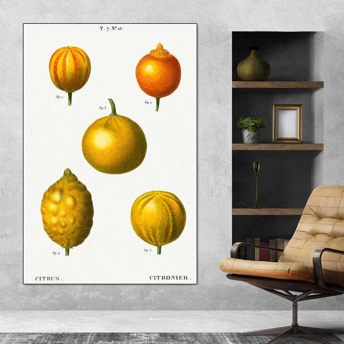 5 Types Of Bitter Orange Wall Art