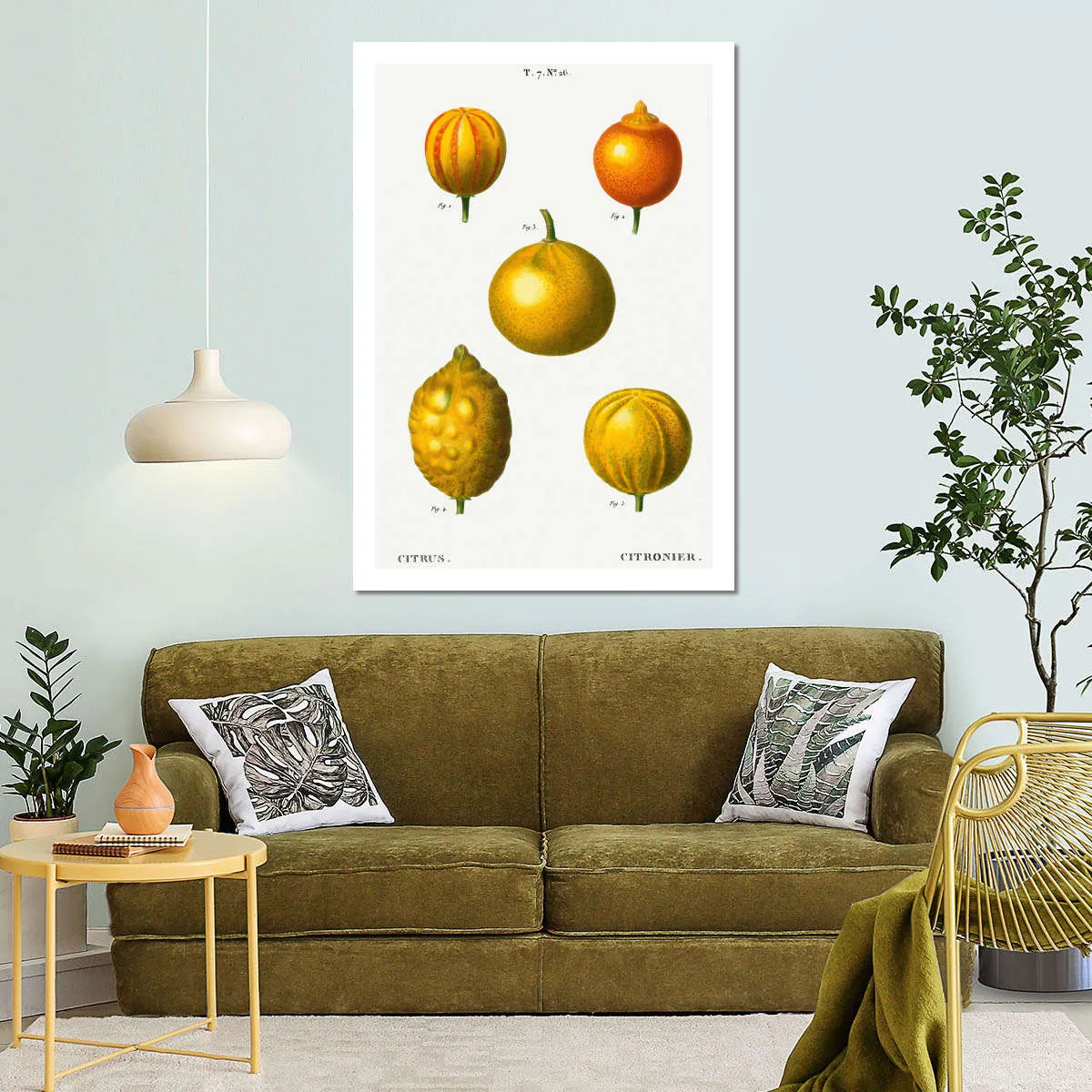 5 Types Of Bitter Orange Wall Art