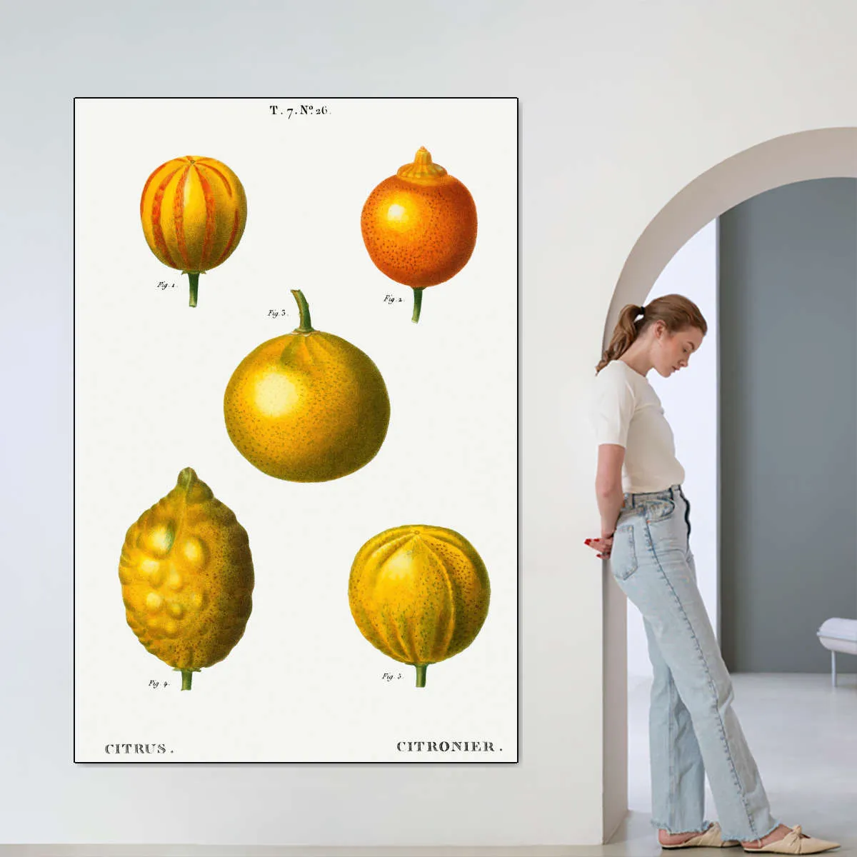 5 Types Of Bitter Orange Wall Art