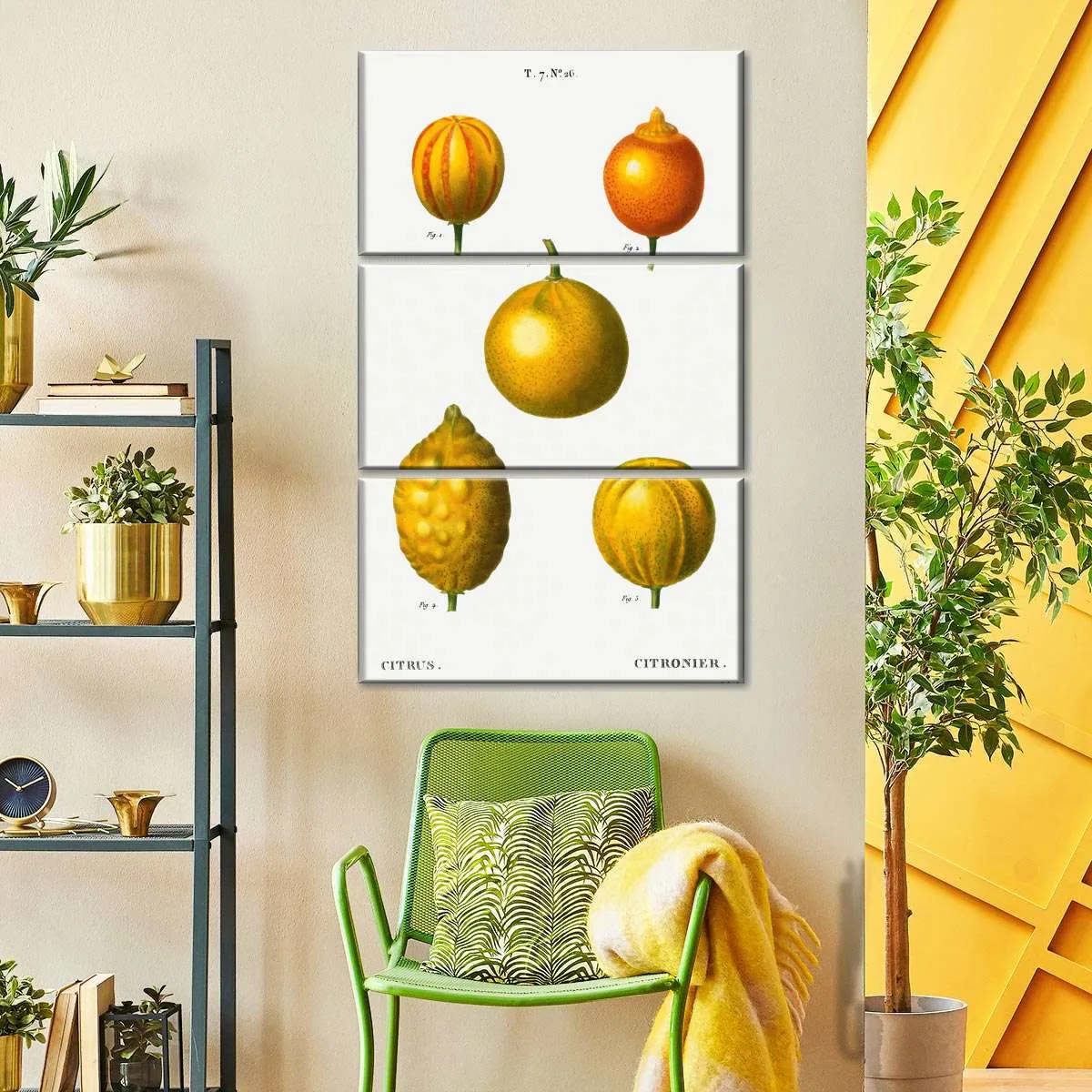 5 Types Of Bitter Orange Wall Art