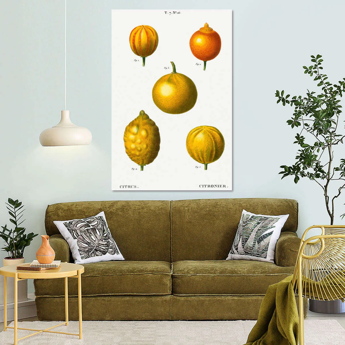 5 Types Of Bitter Orange Wall Art