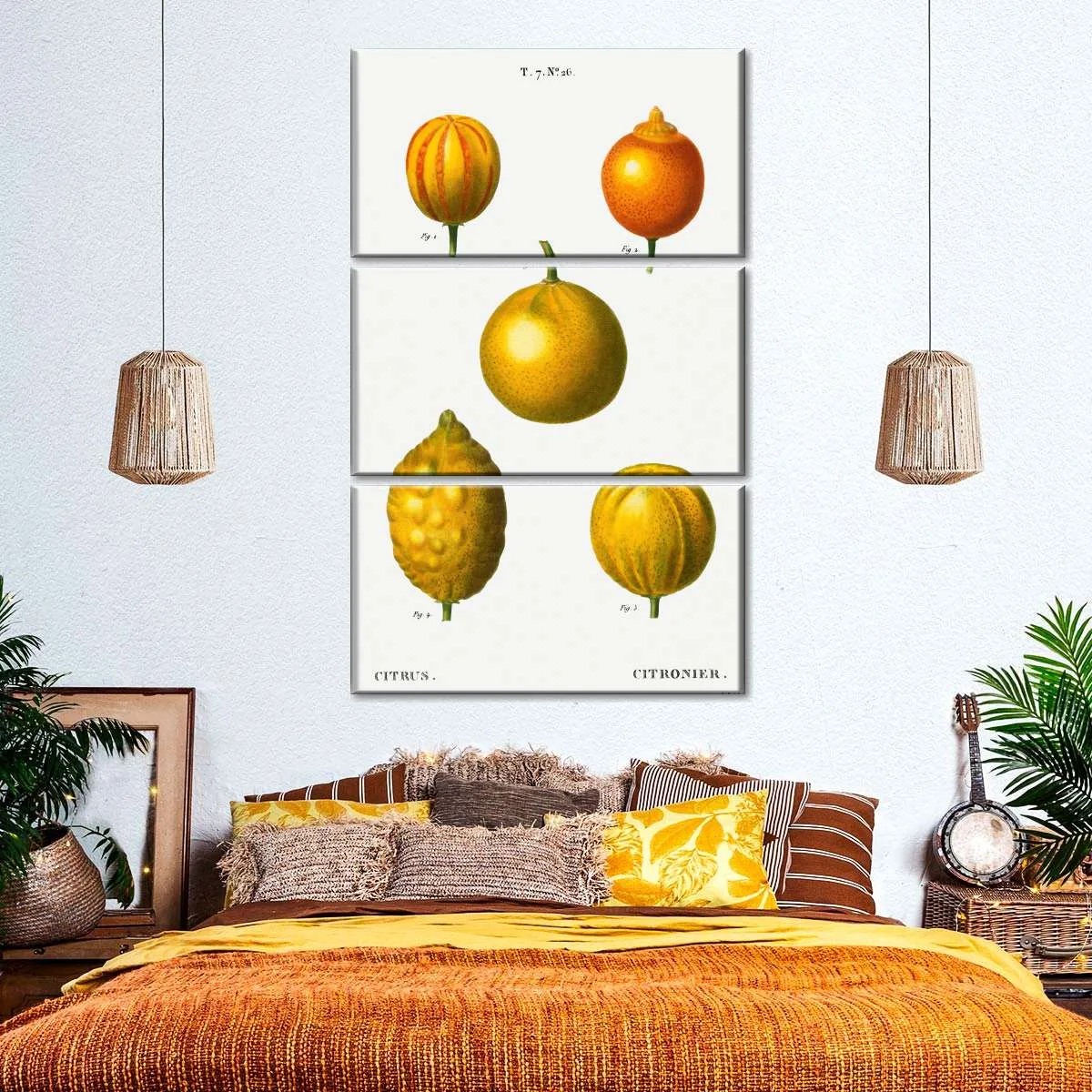 5 Types Of Bitter Orange Wall Art