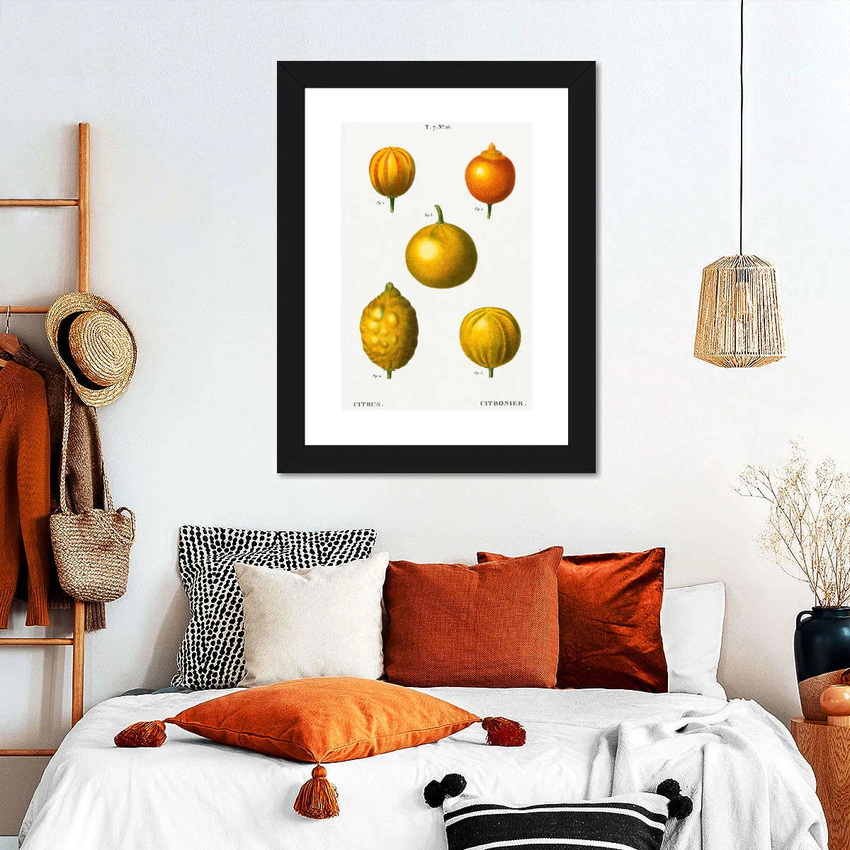 5 Types Of Bitter Orange Wall Art