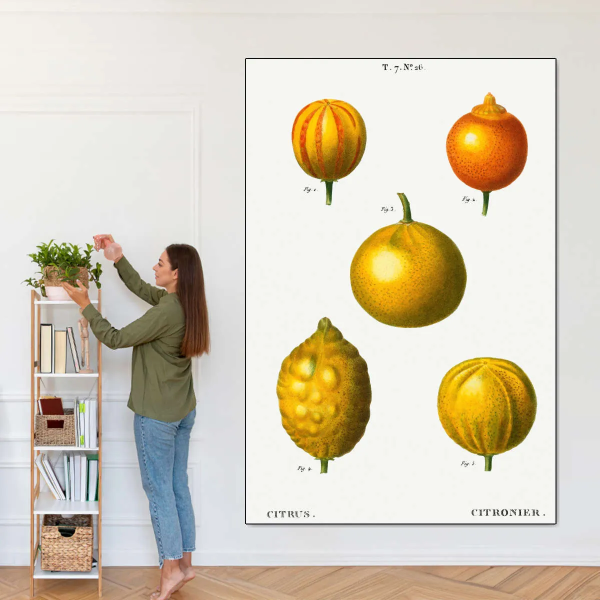 5 Types Of Bitter Orange Wall Art