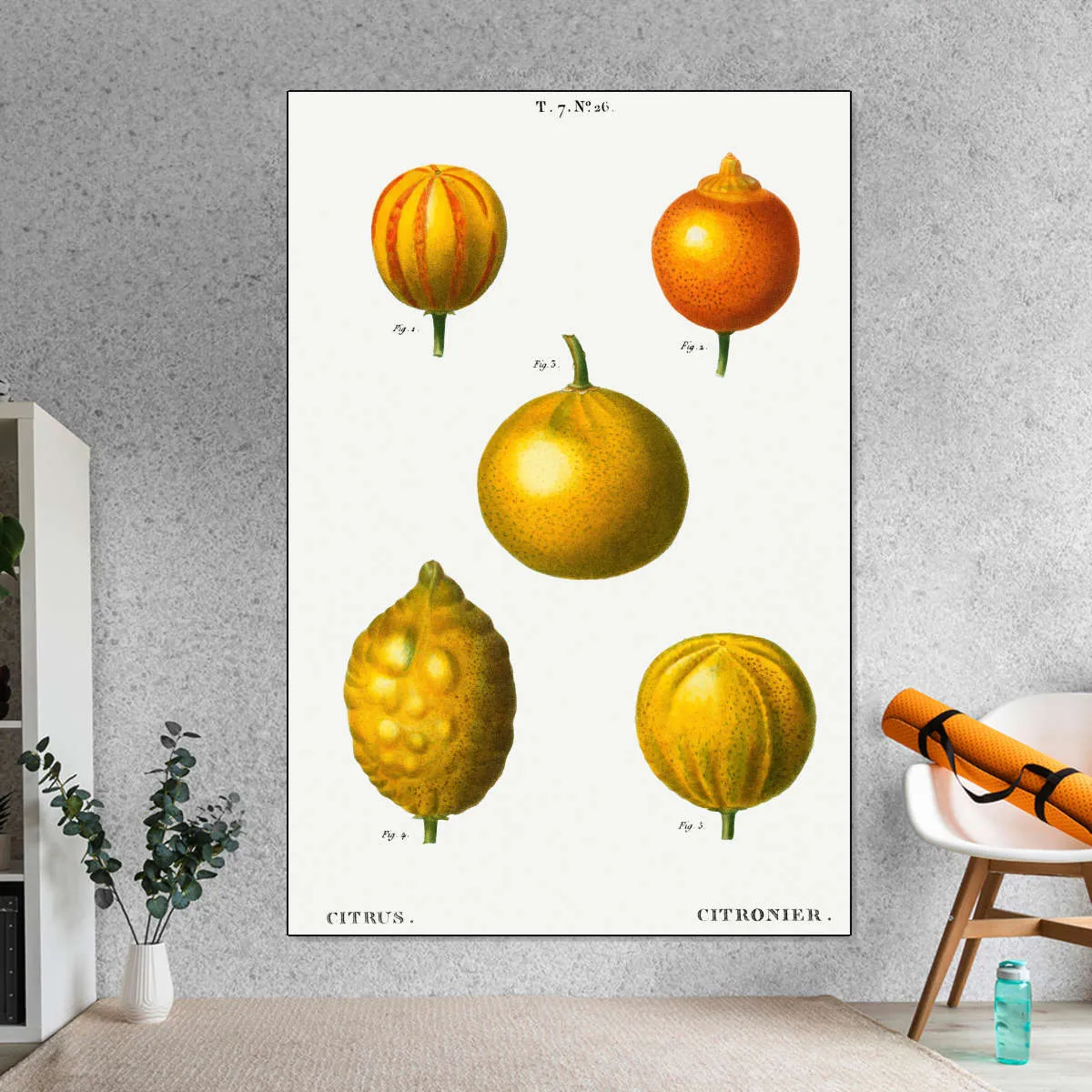 5 Types Of Bitter Orange Wall Art