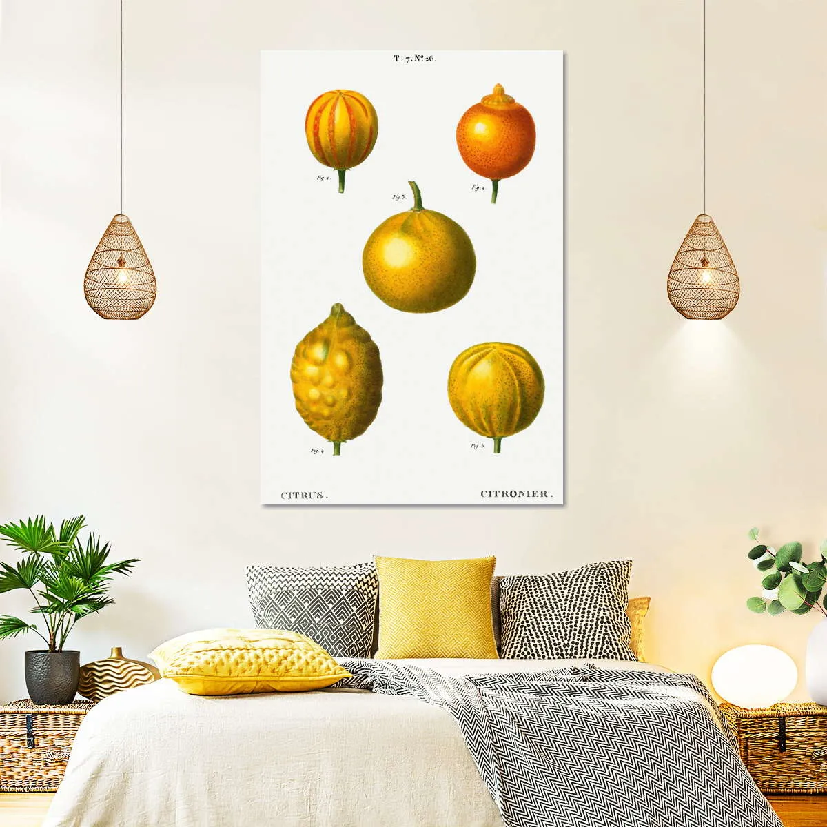 5 Types Of Bitter Orange Wall Art