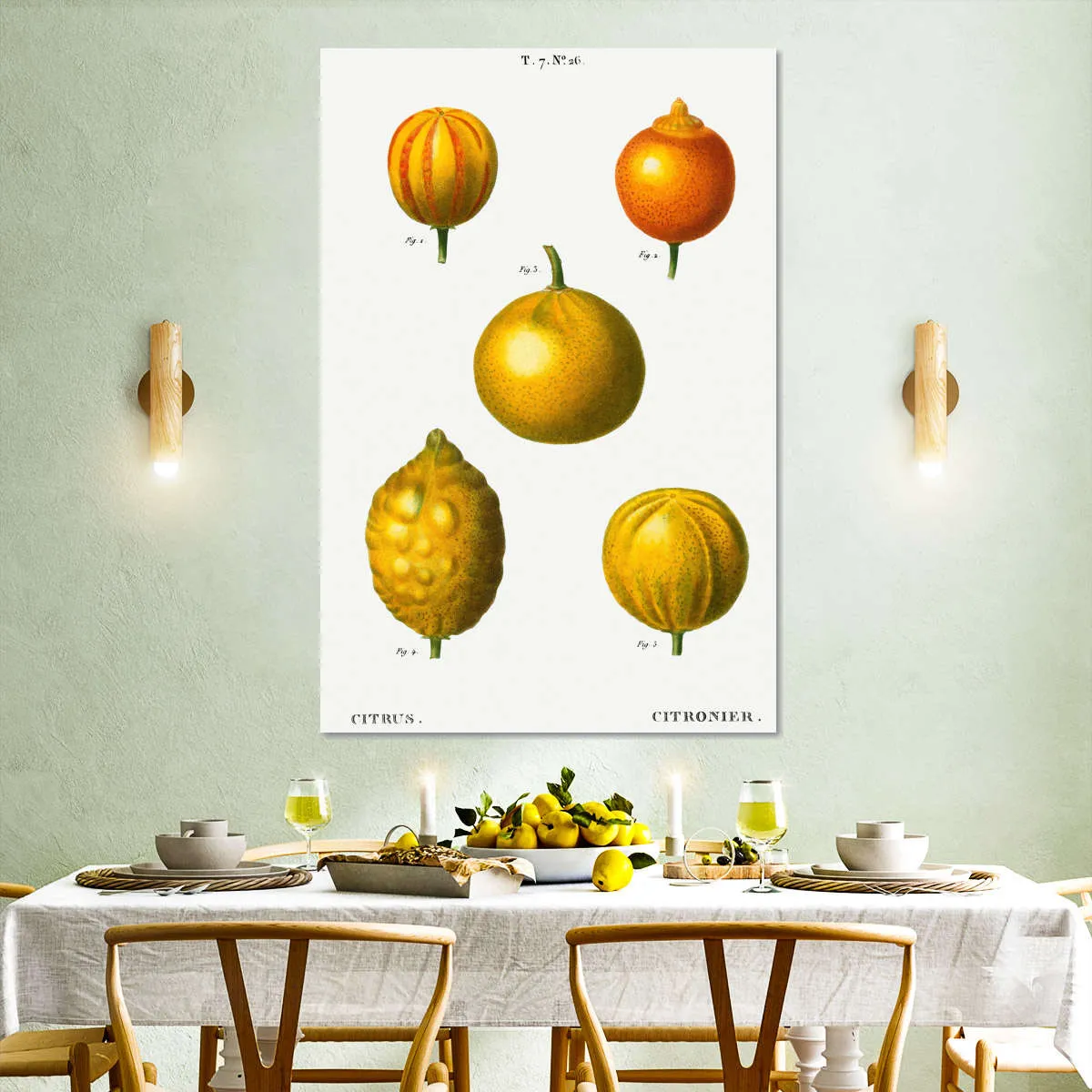 5 Types Of Bitter Orange Wall Art