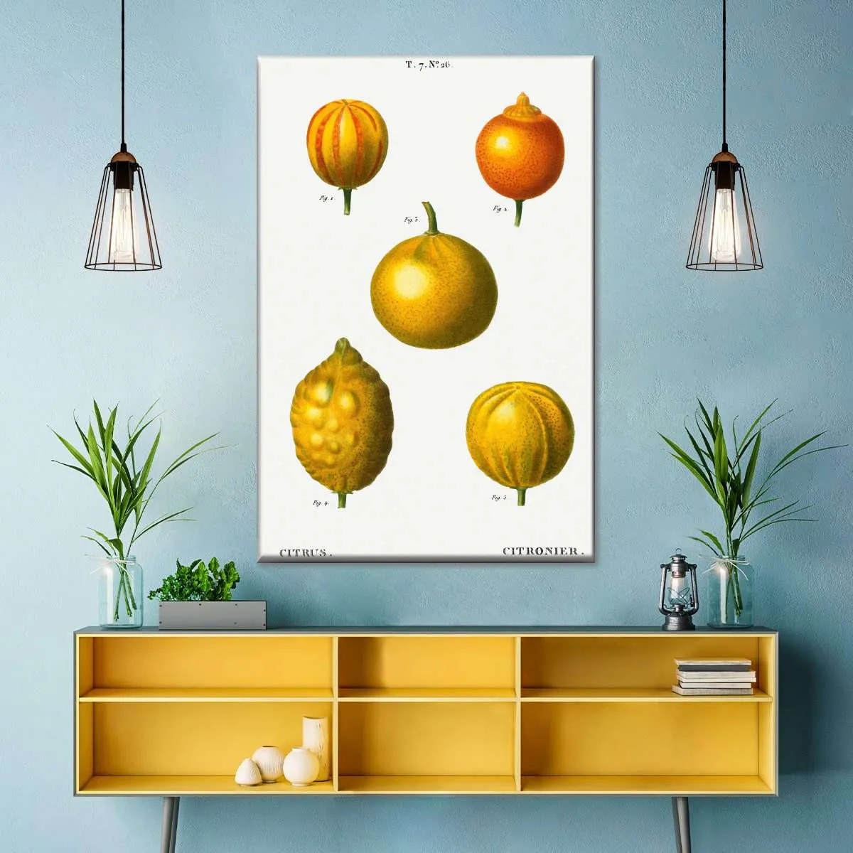 5 Types Of Bitter Orange Wall Art