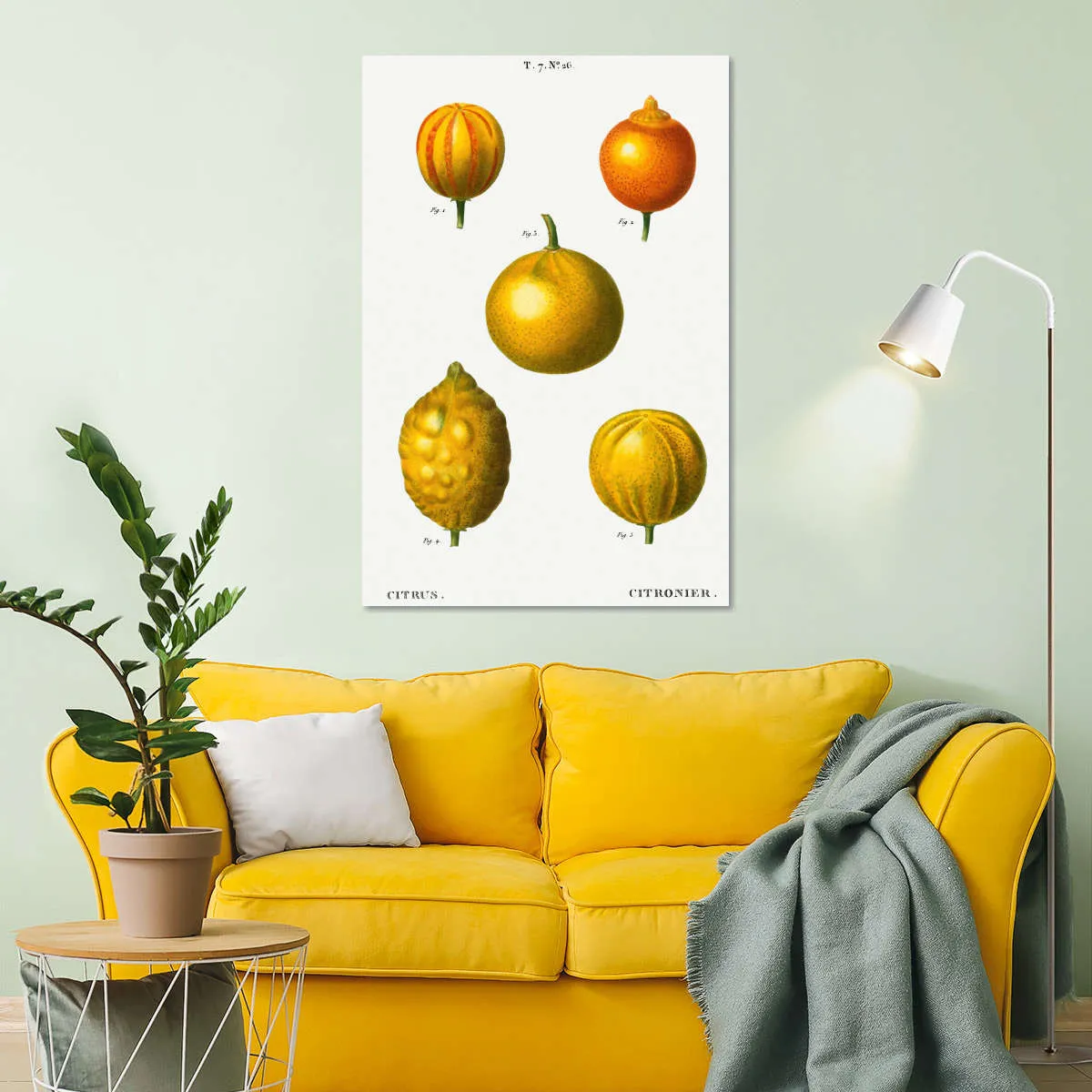 5 Types Of Bitter Orange Wall Art