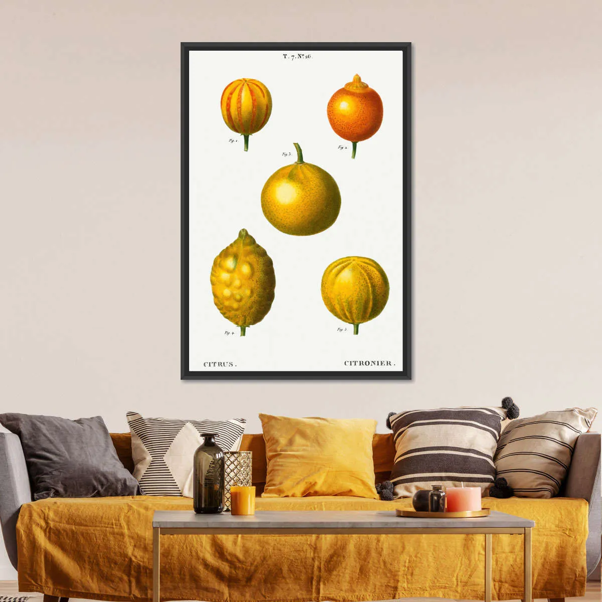 5 Types Of Bitter Orange Wall Art