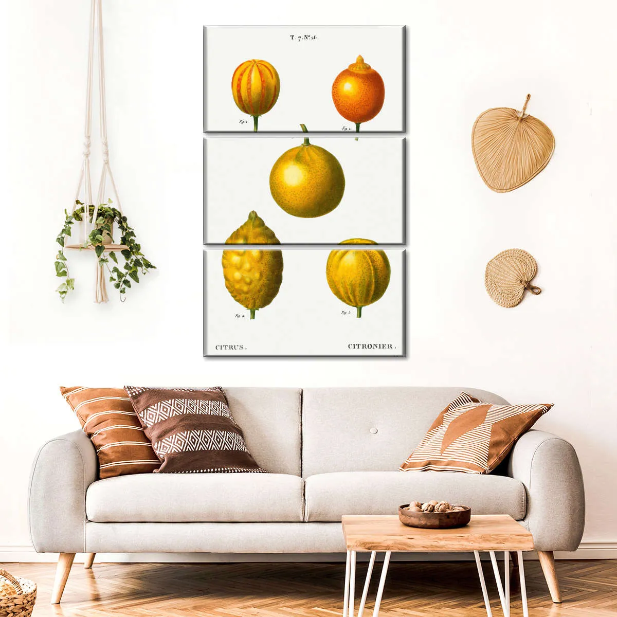 5 Types Of Bitter Orange Wall Art