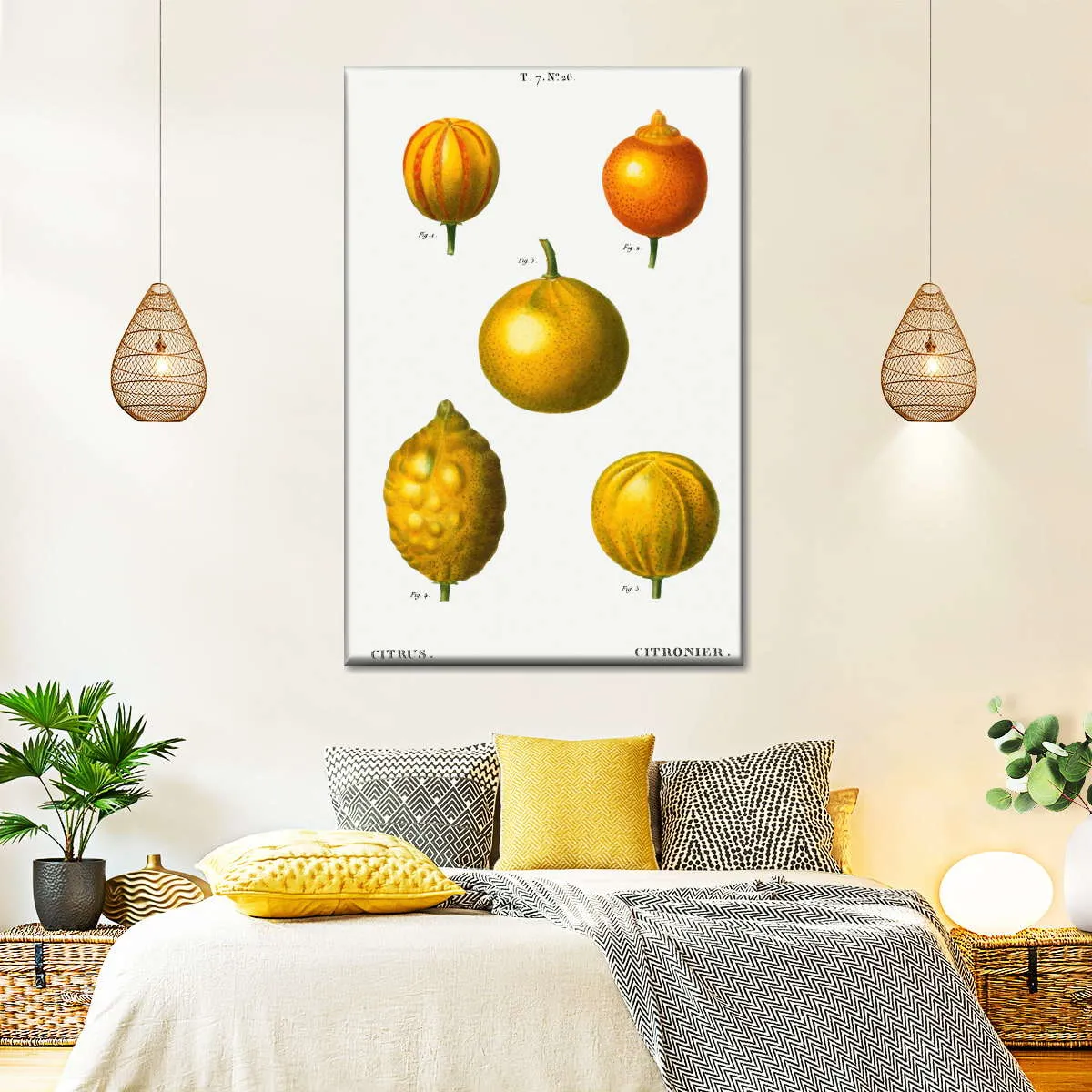 5 Types Of Bitter Orange Wall Art