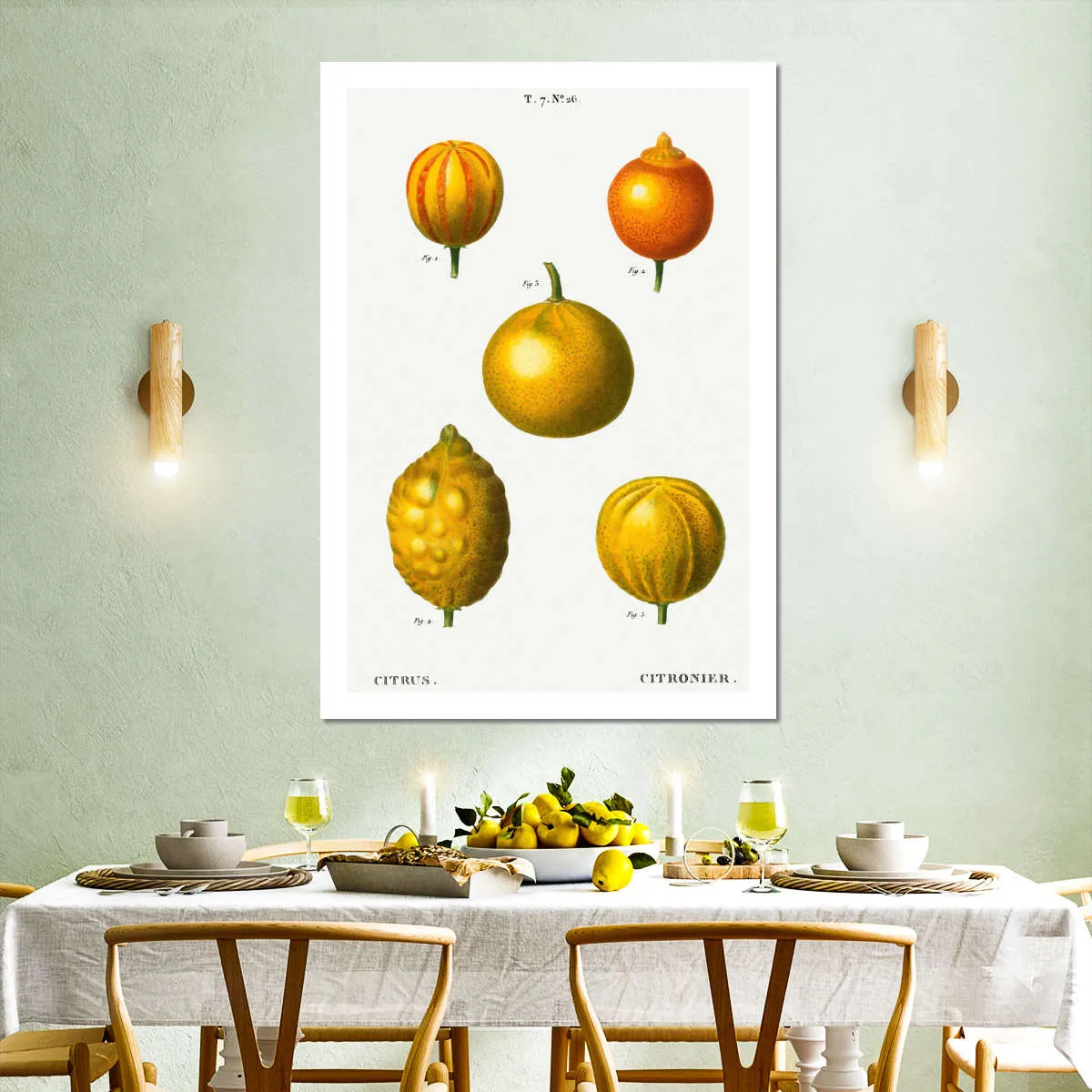 5 Types Of Bitter Orange Wall Art