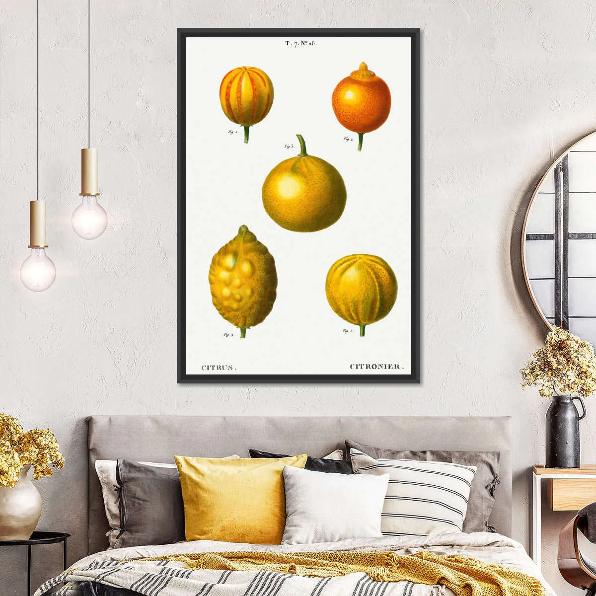 5 Types Of Bitter Orange Wall Art