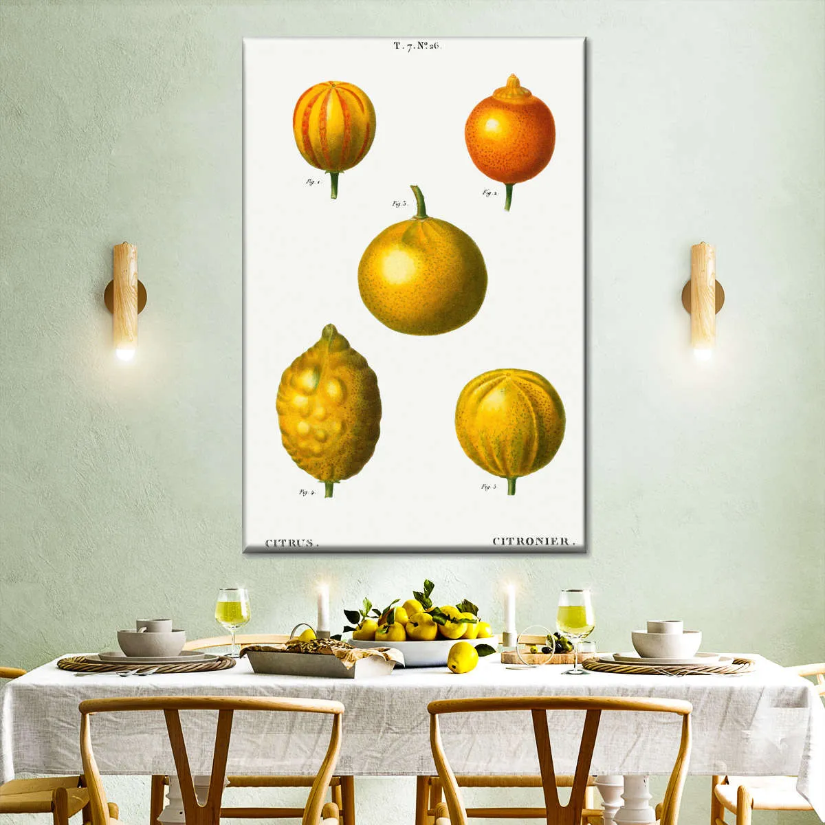 5 Types Of Bitter Orange Wall Art