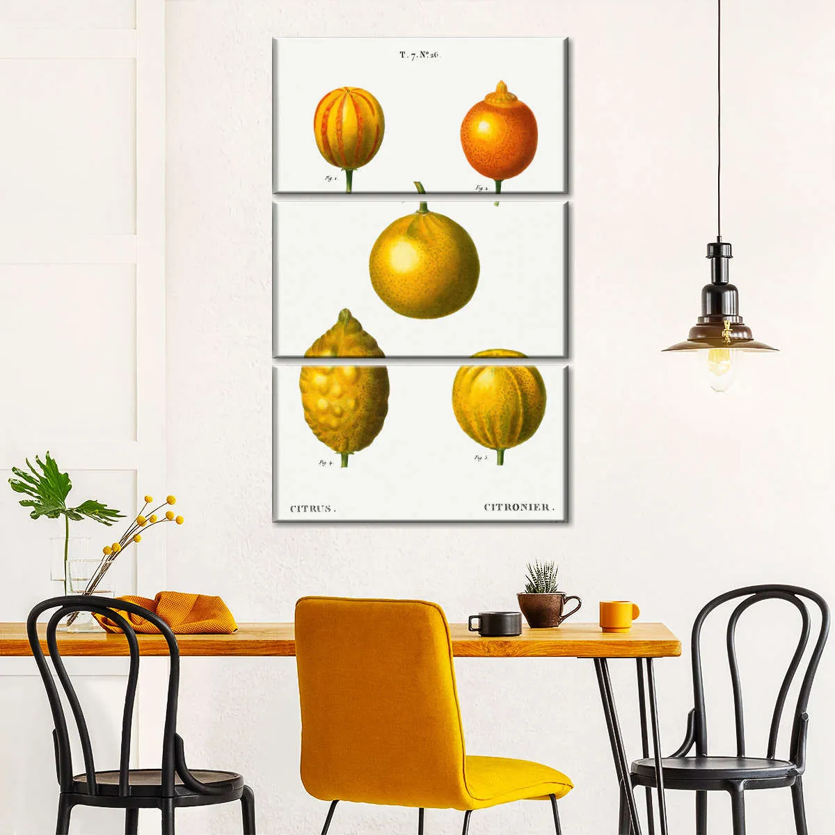 5 Types Of Bitter Orange Wall Art