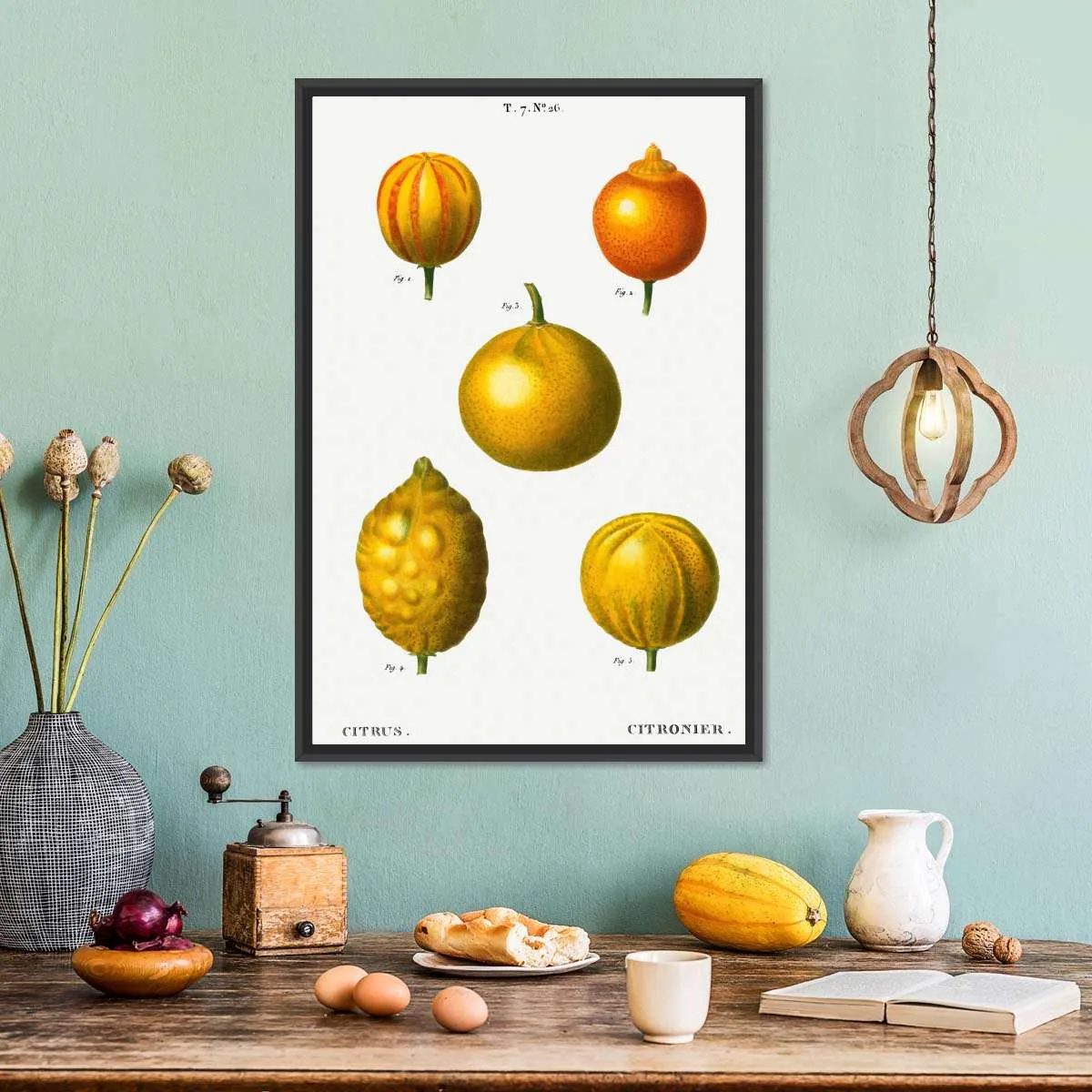 5 Types Of Bitter Orange Wall Art