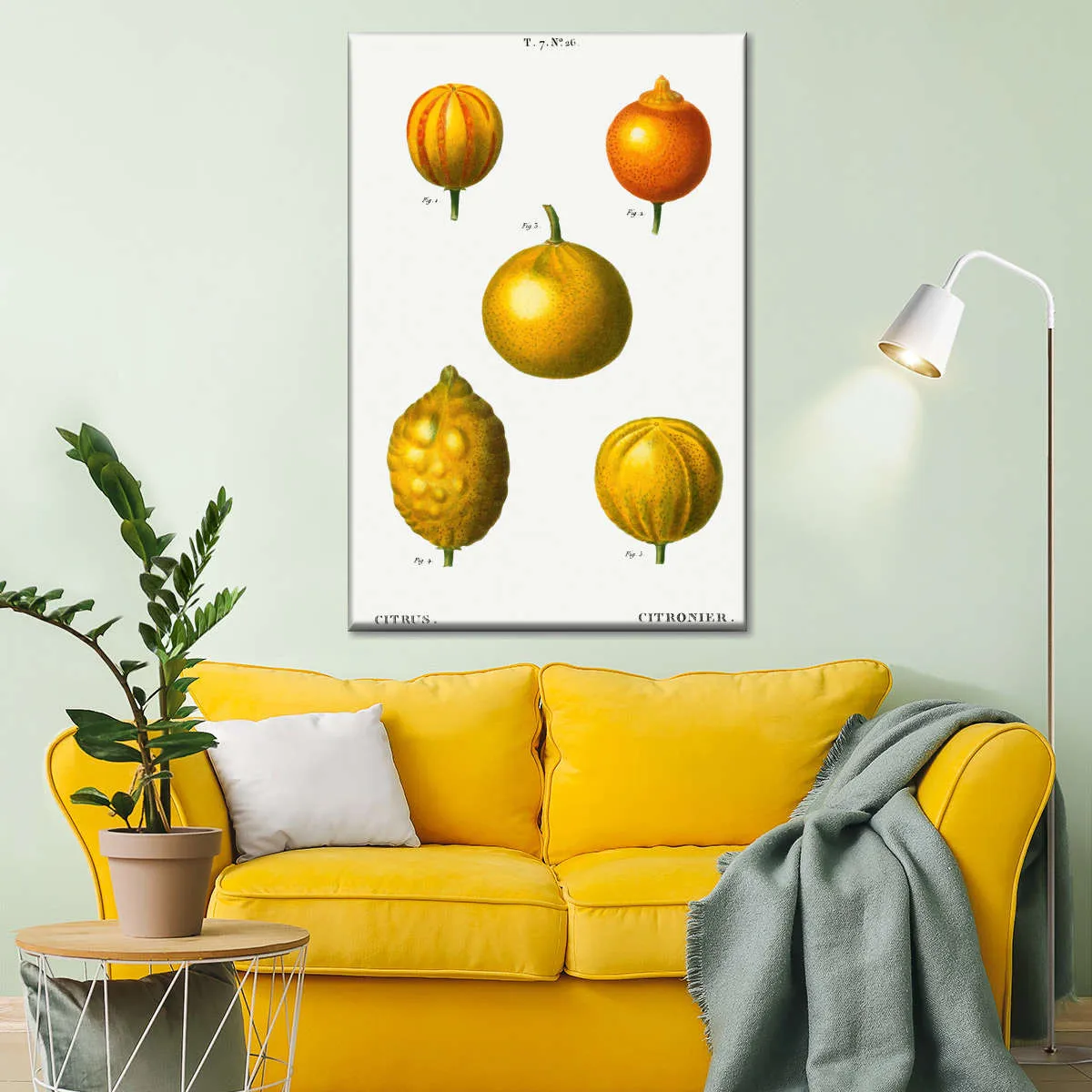 5 Types Of Bitter Orange Wall Art