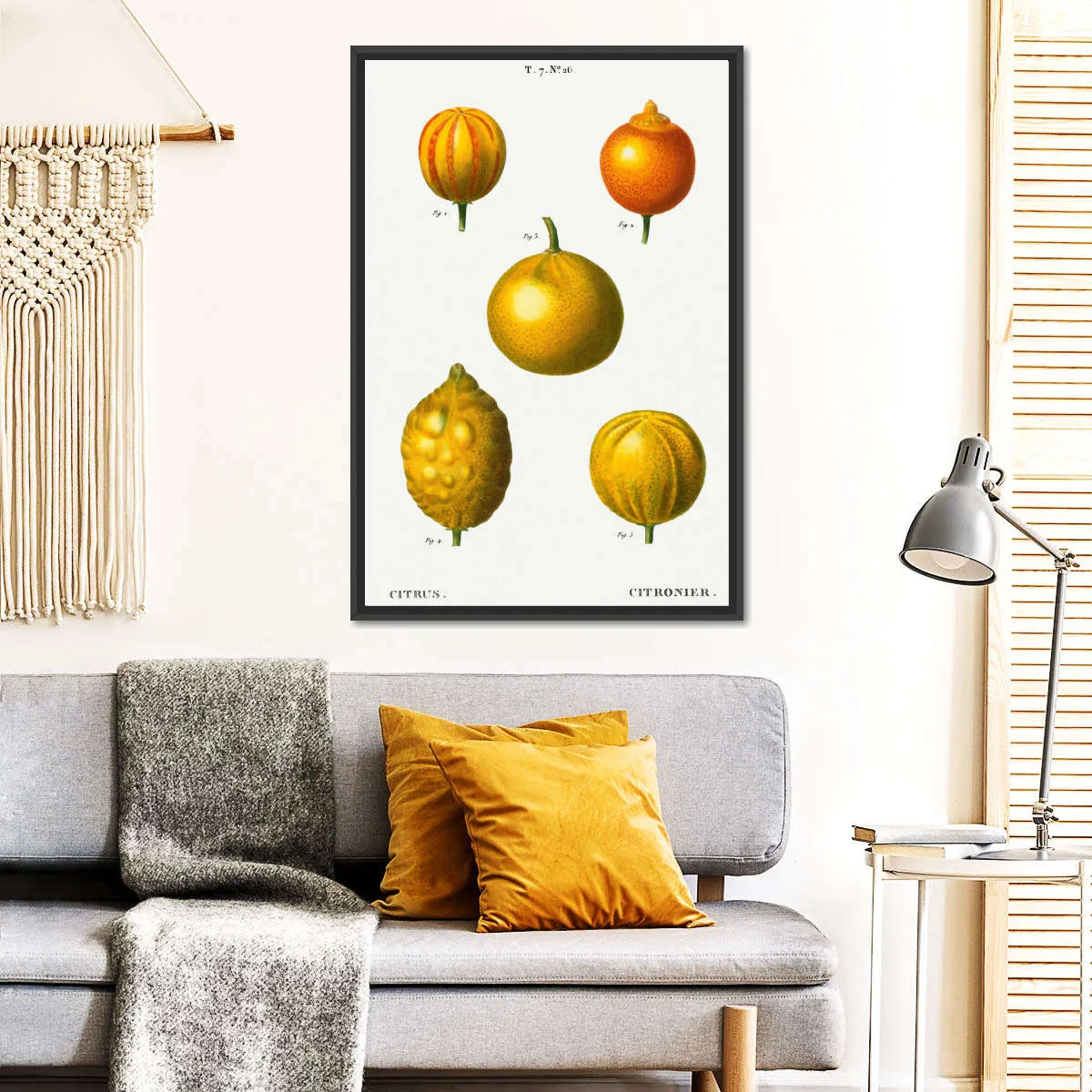 5 Types Of Bitter Orange Wall Art