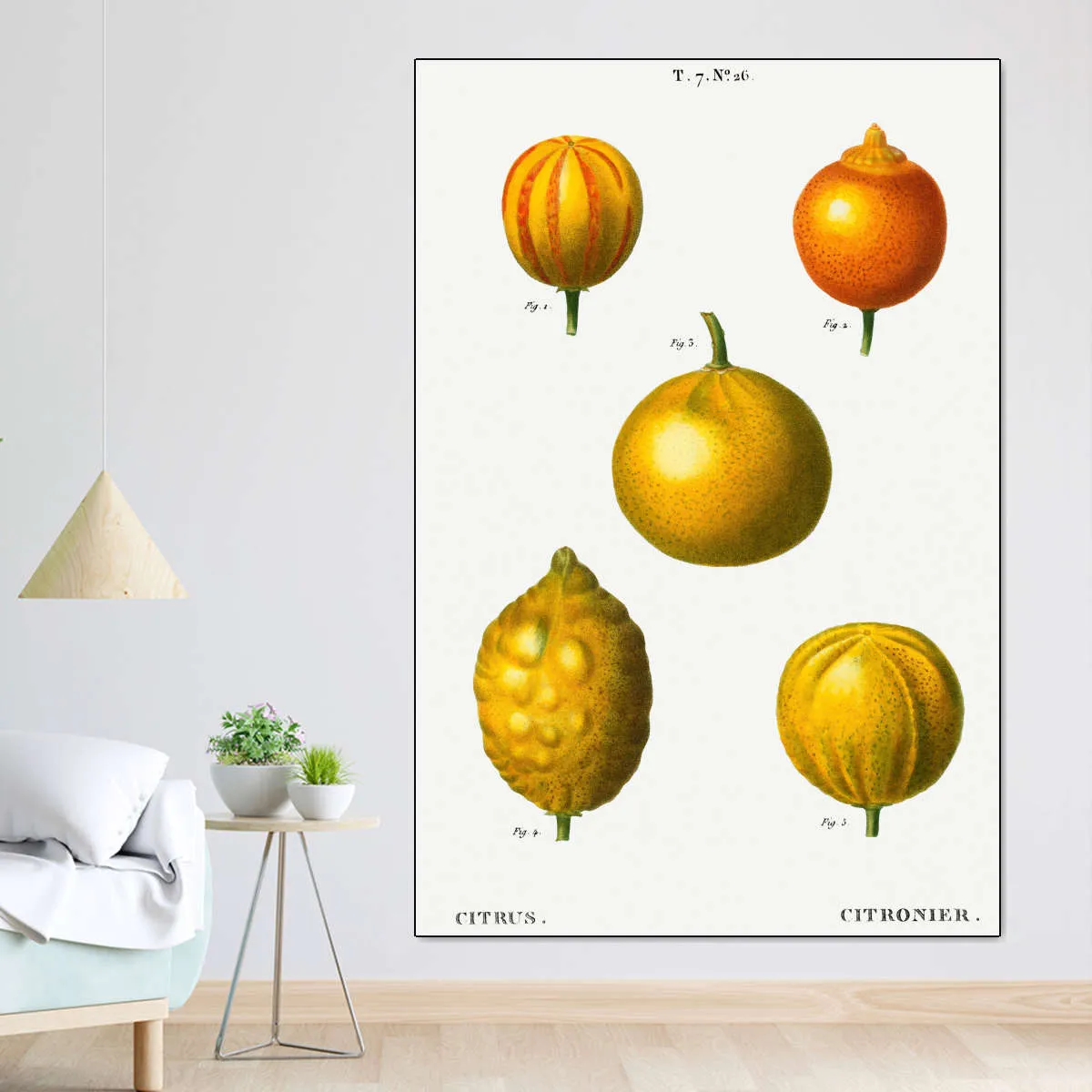 5 Types Of Bitter Orange Wall Art