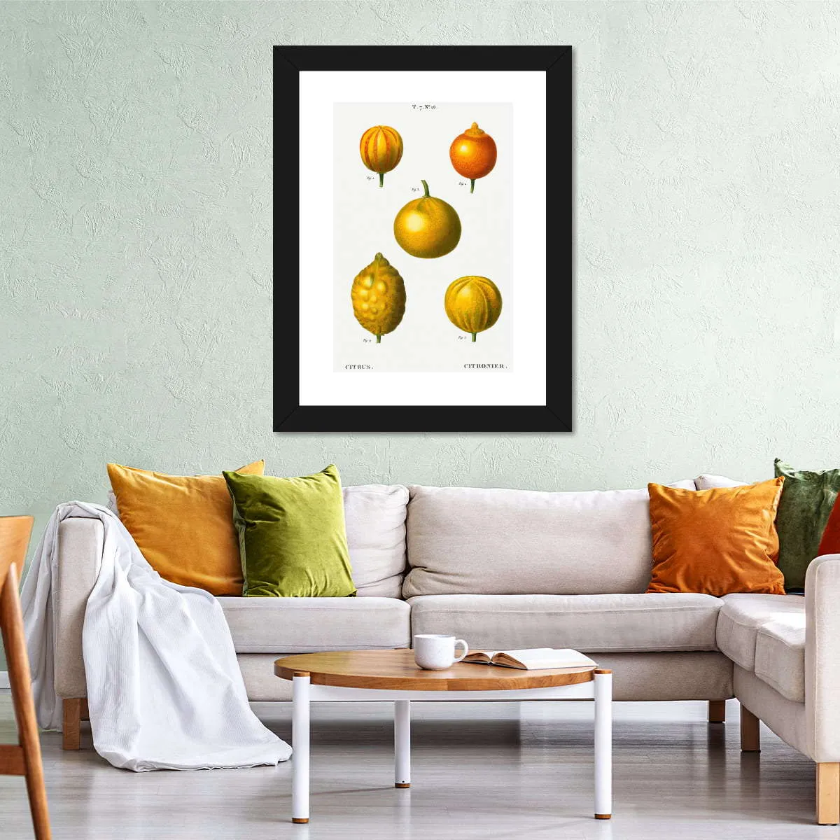 5 Types Of Bitter Orange Wall Art