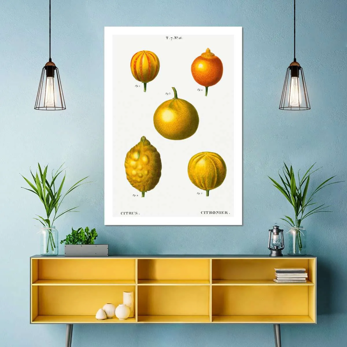 5 Types Of Bitter Orange Wall Art