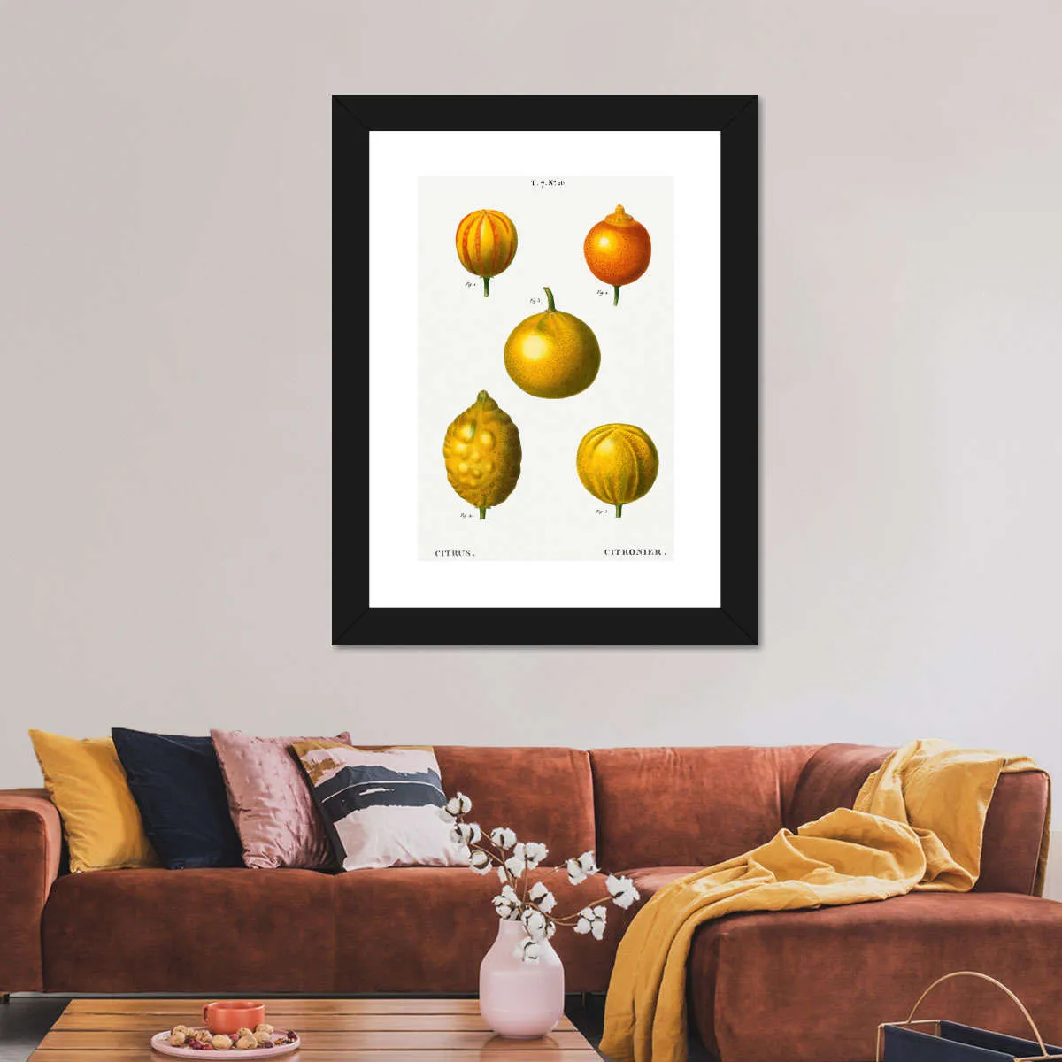 5 Types Of Bitter Orange Wall Art