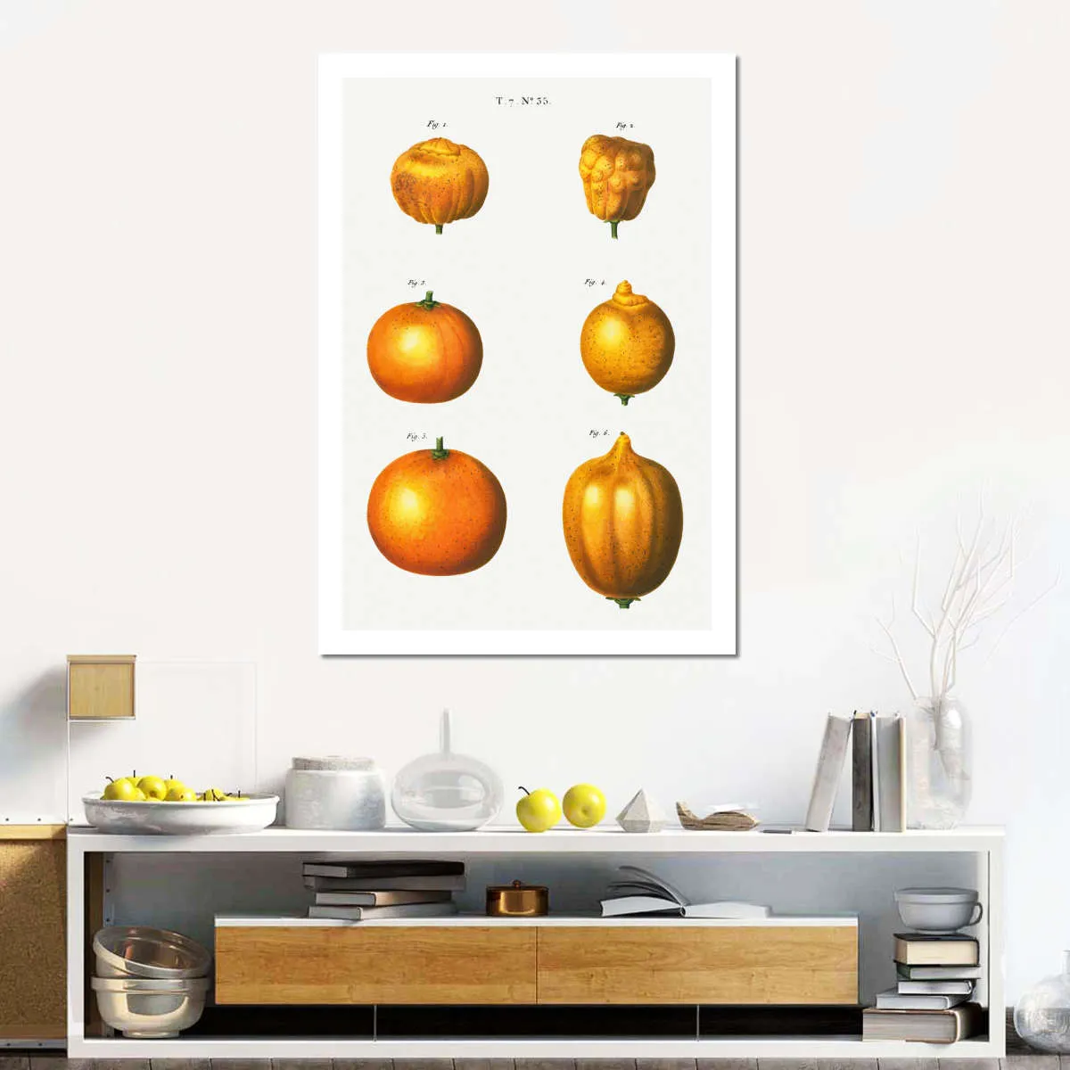 6 Types Of Oranges Wall Art