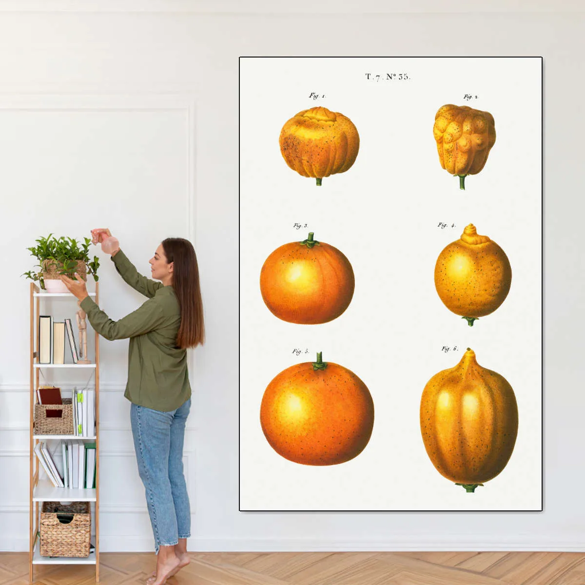 6 Types Of Oranges Wall Art