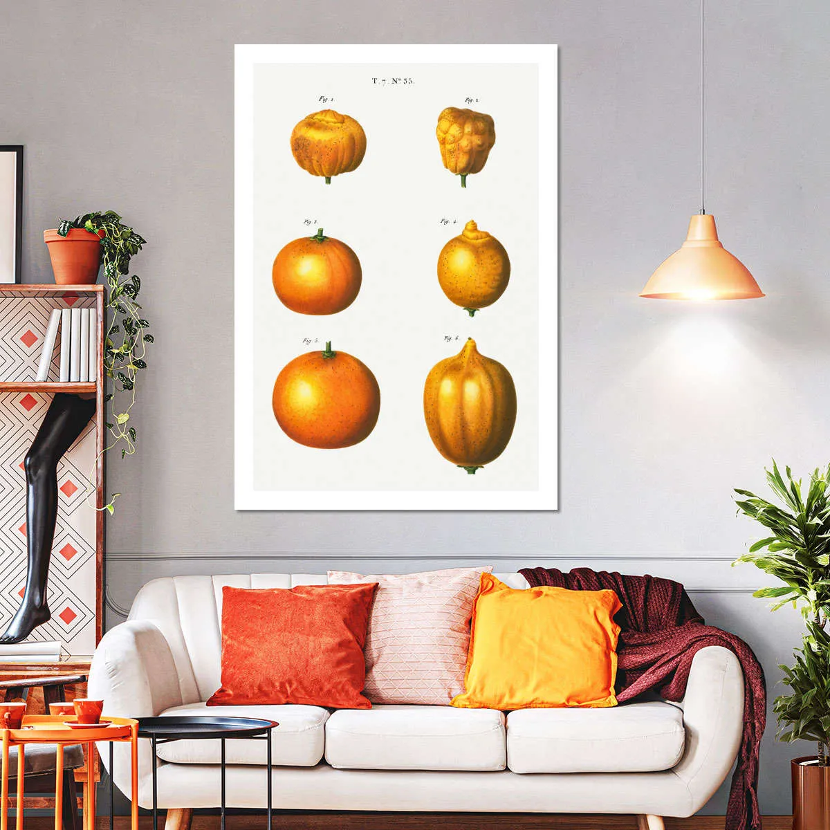 6 Types Of Oranges Wall Art