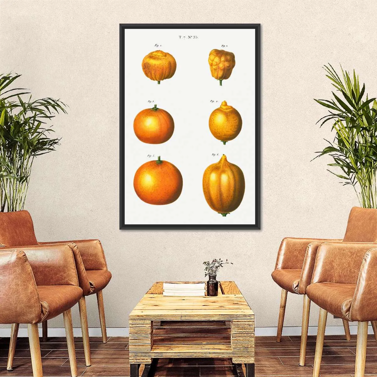 6 Types Of Oranges Wall Art