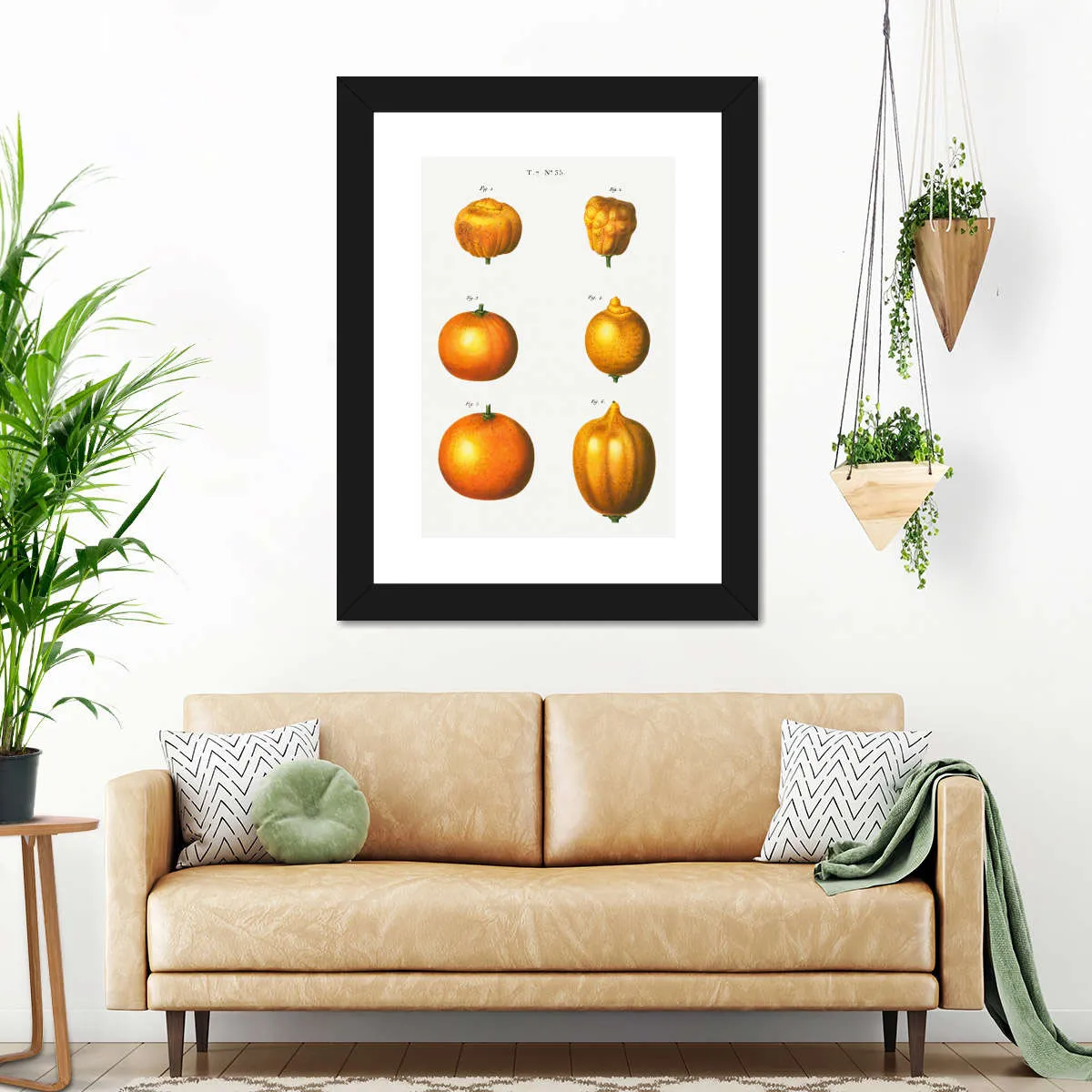 6 Types Of Oranges Wall Art