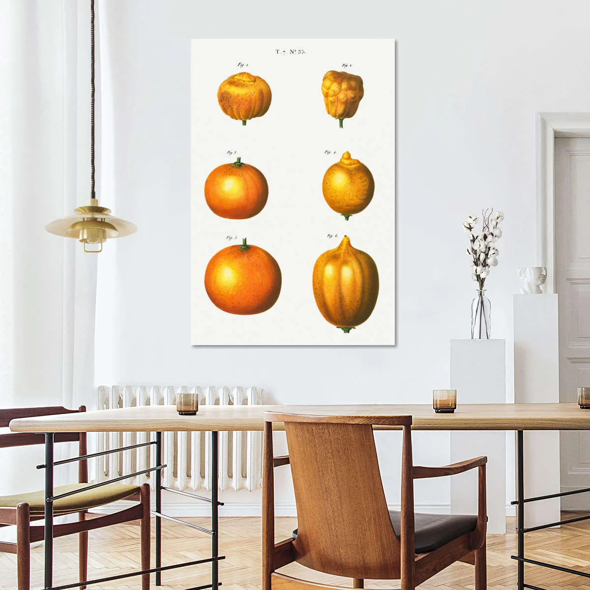 6 Types Of Oranges Wall Art