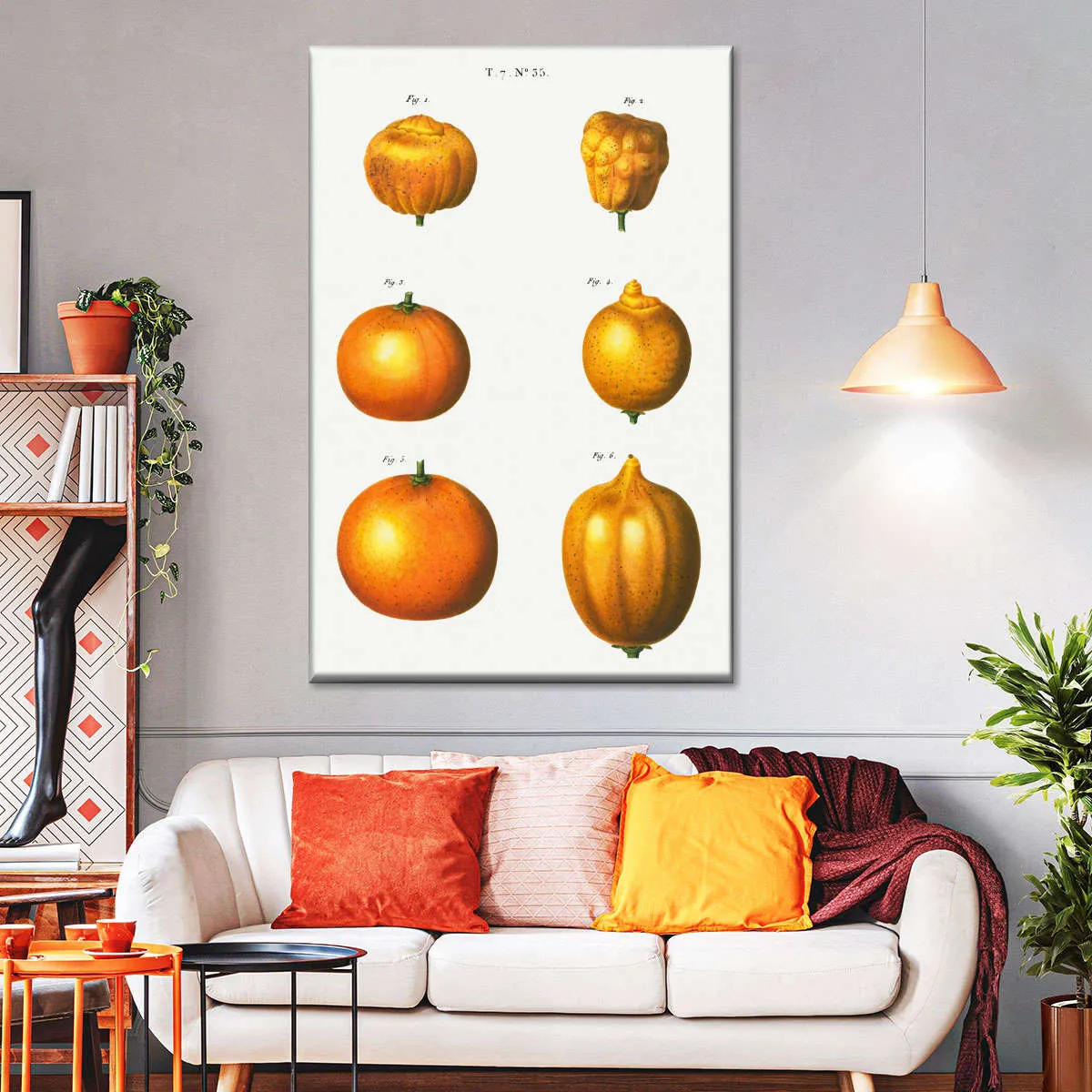 6 Types Of Oranges Wall Art