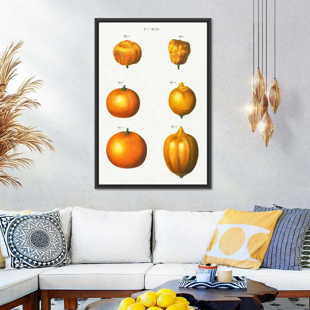 6 Types Of Oranges Wall Art