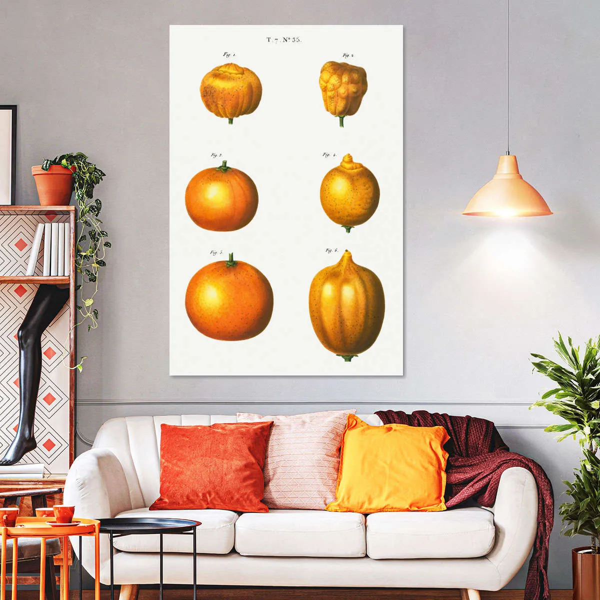 6 Types Of Oranges Wall Art