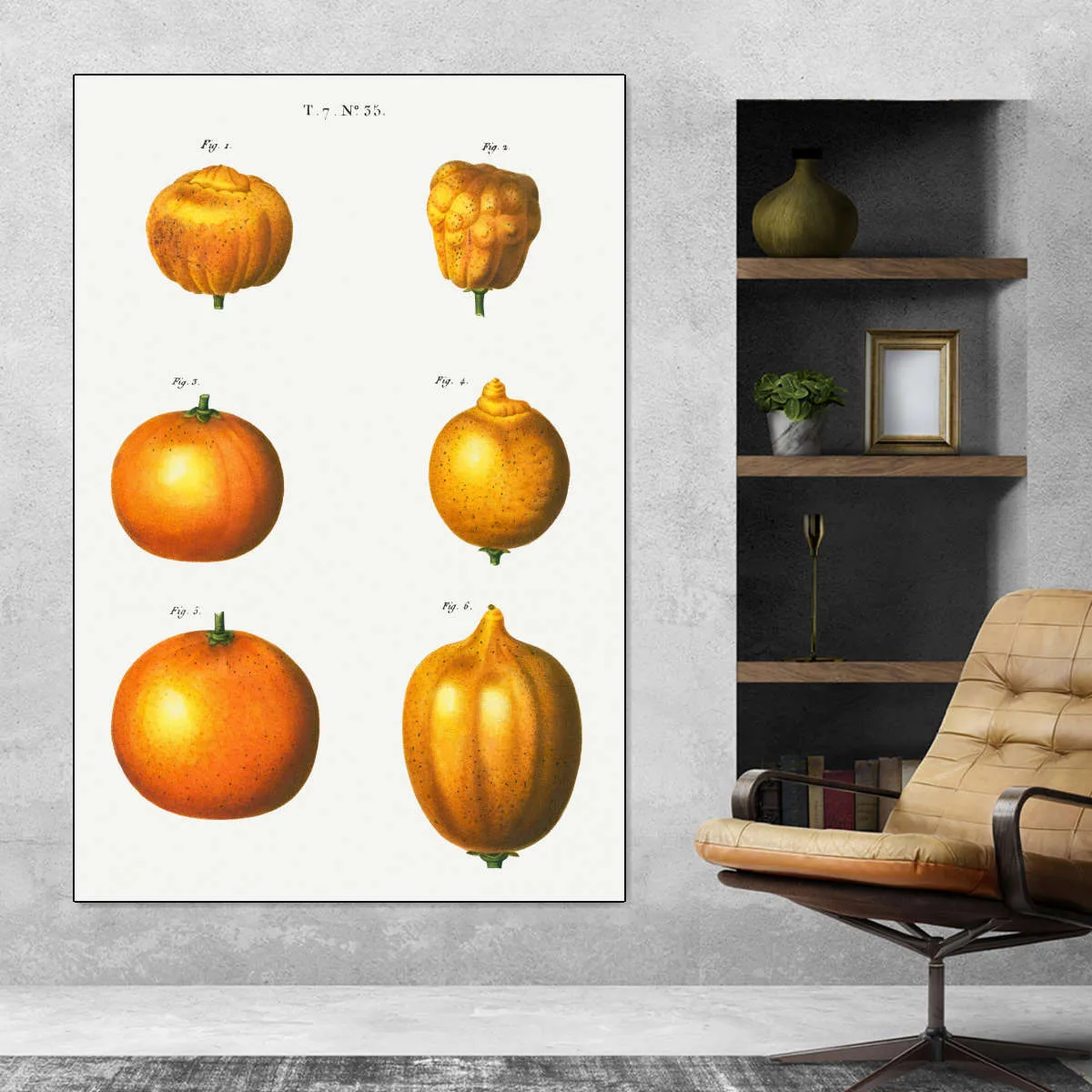 6 Types Of Oranges Wall Art