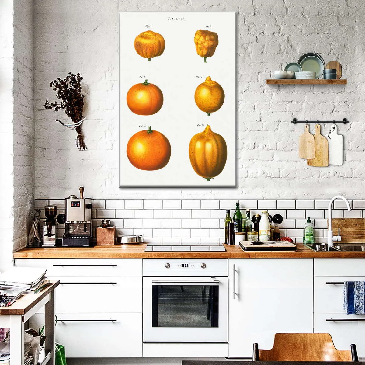 6 Types Of Oranges Wall Art