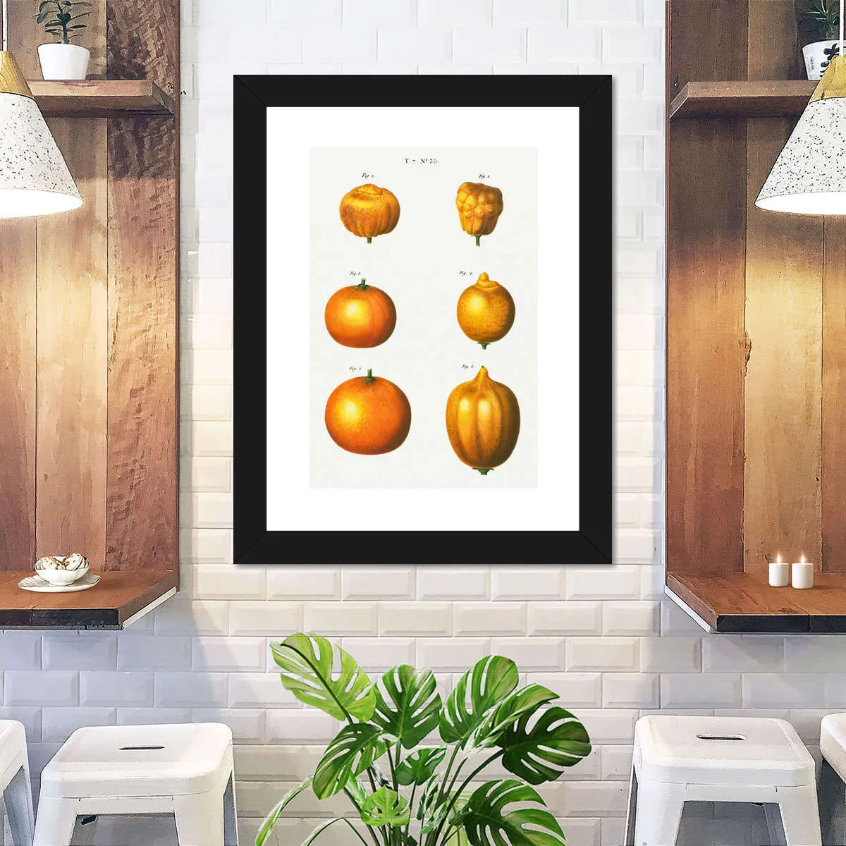 6 Types Of Oranges Wall Art