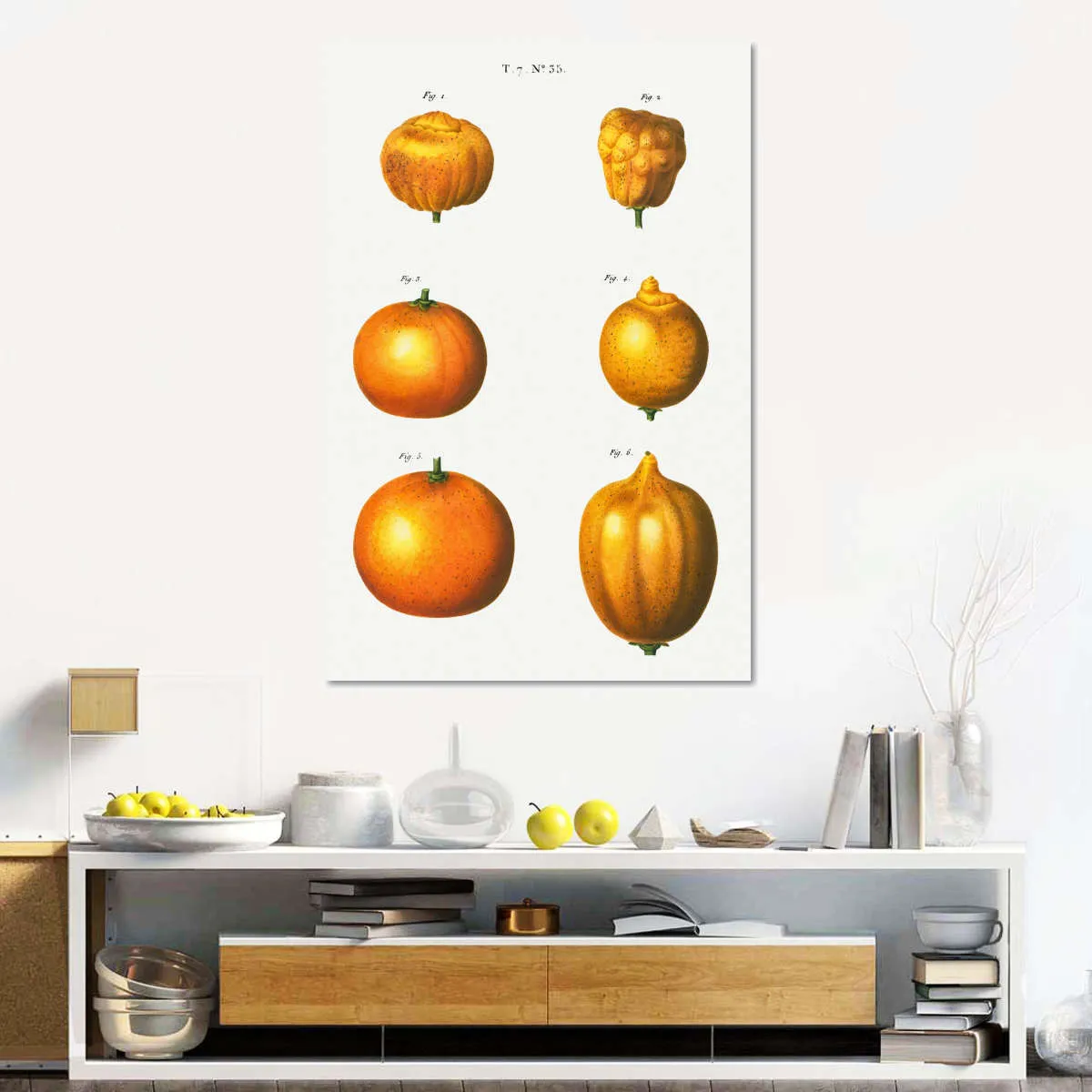 6 Types Of Oranges Wall Art