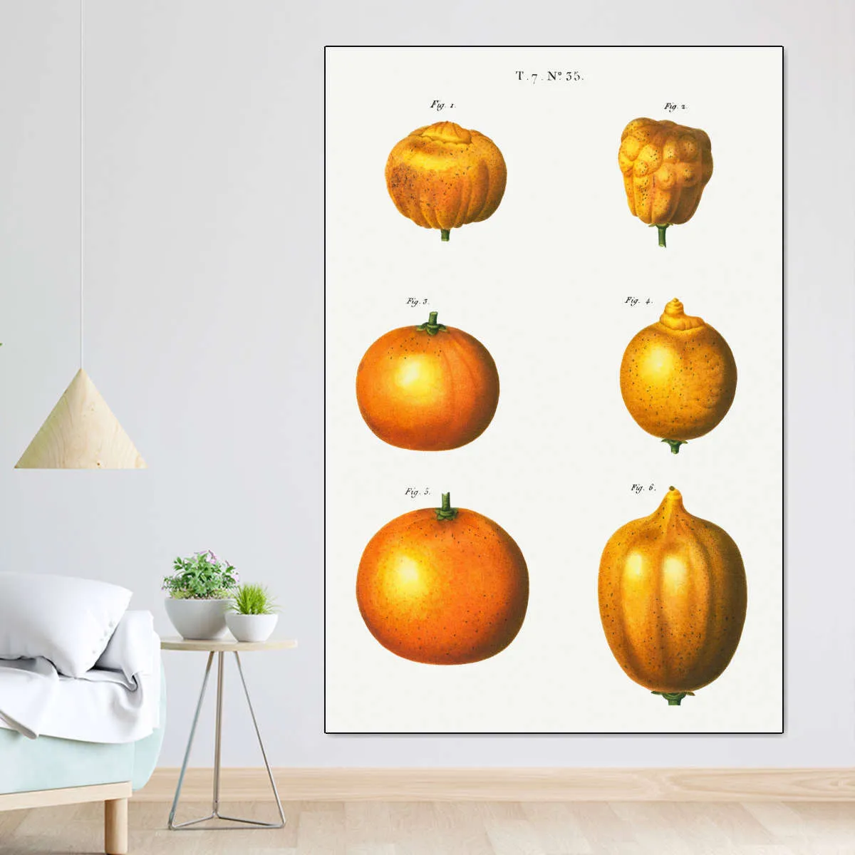 6 Types Of Oranges Wall Art