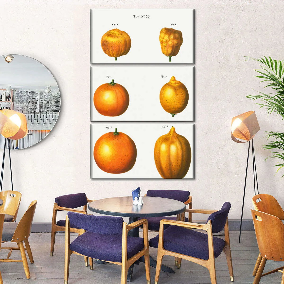 6 Types Of Oranges Wall Art