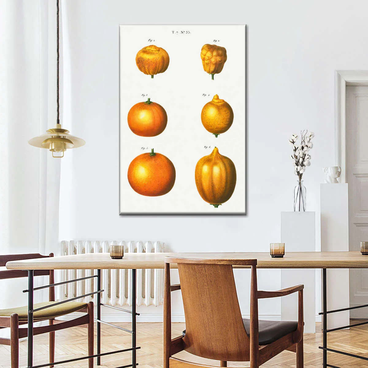 6 Types Of Oranges Wall Art