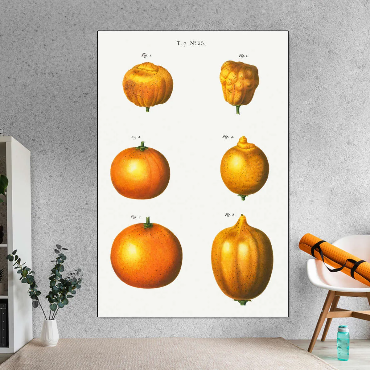 6 Types Of Oranges Wall Art